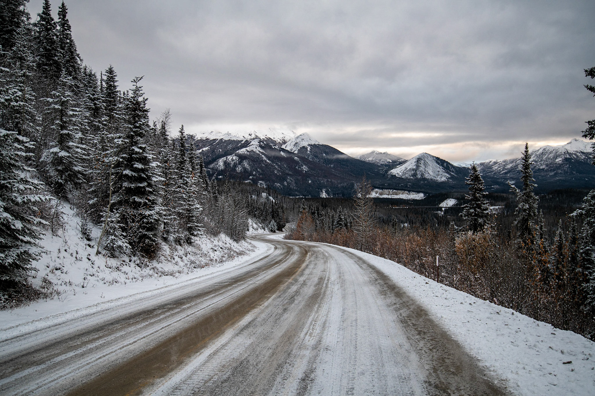 Denali National Park