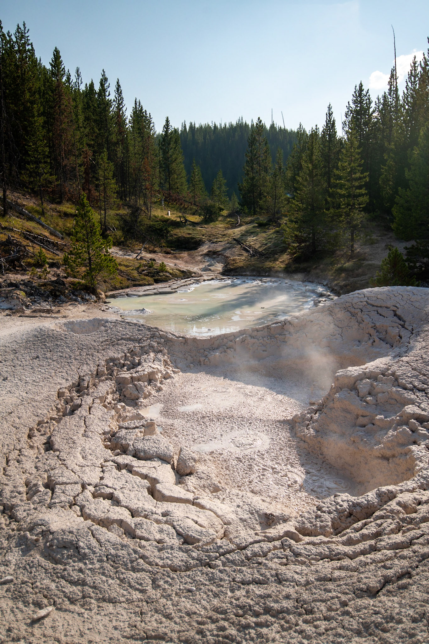 Mud pots at Artists Paintpots
