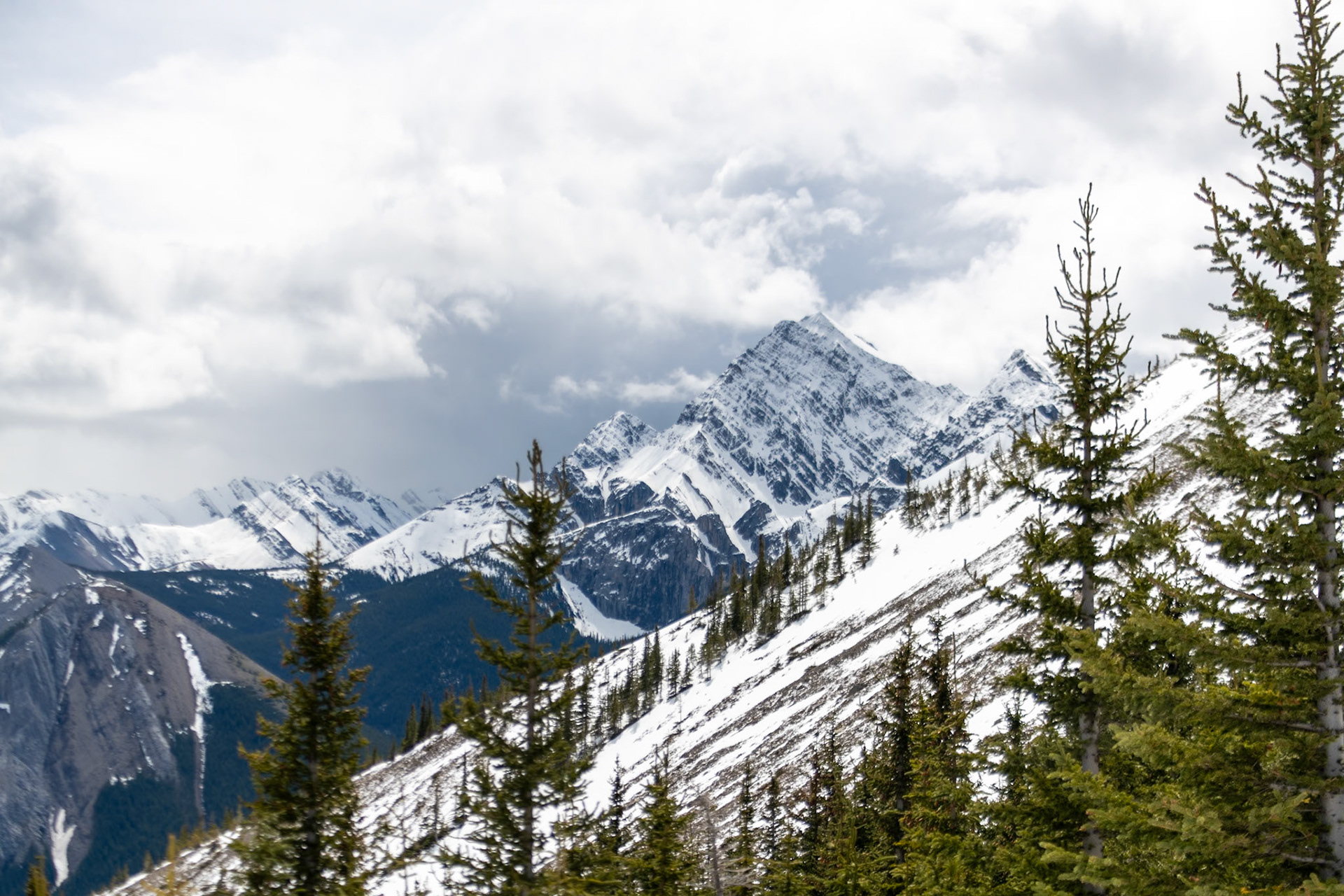 Pyramid mountain from Sulphur Skyline Trail