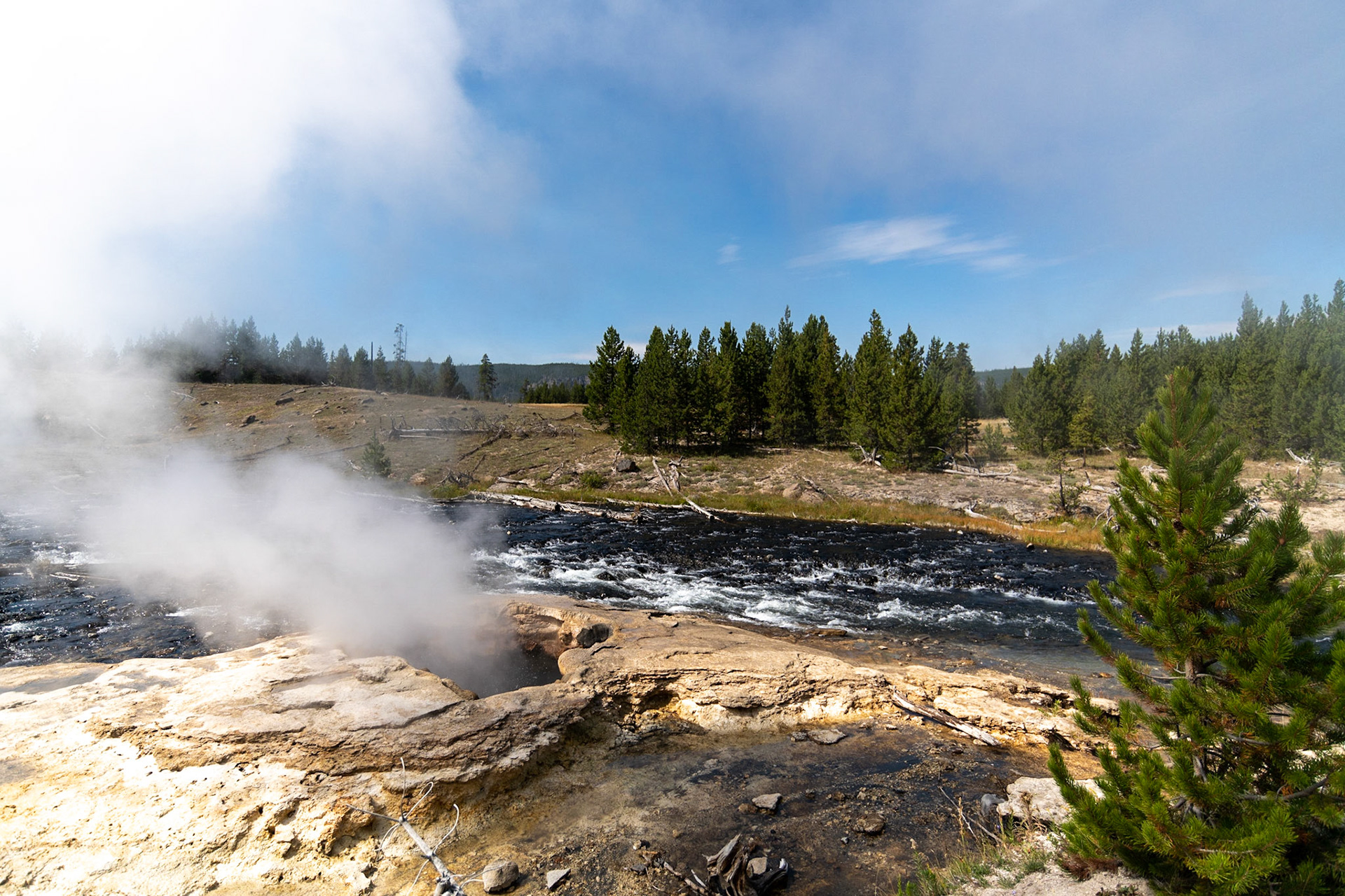 Sentinel Geyser