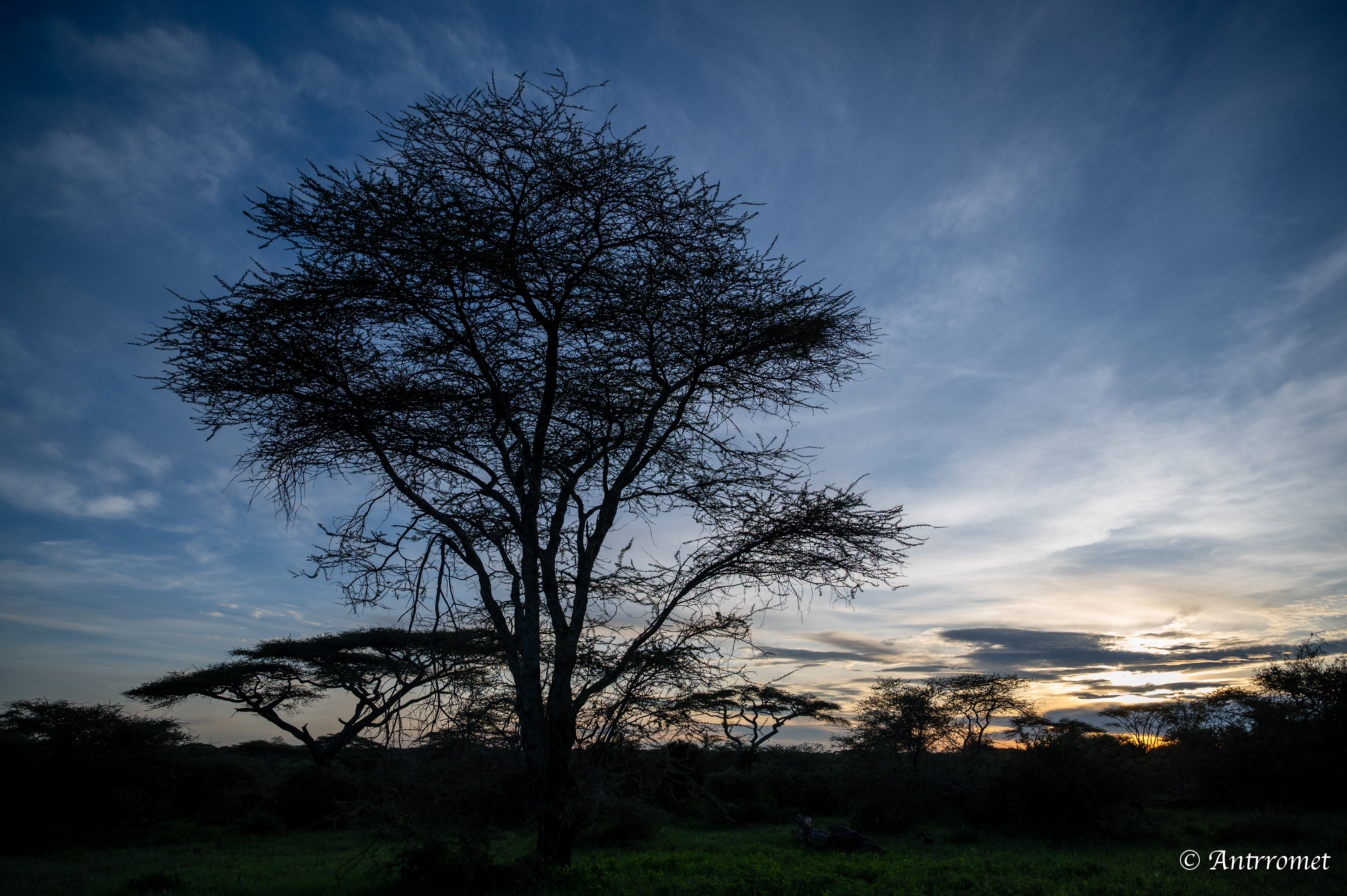 Sunset at Ndutu