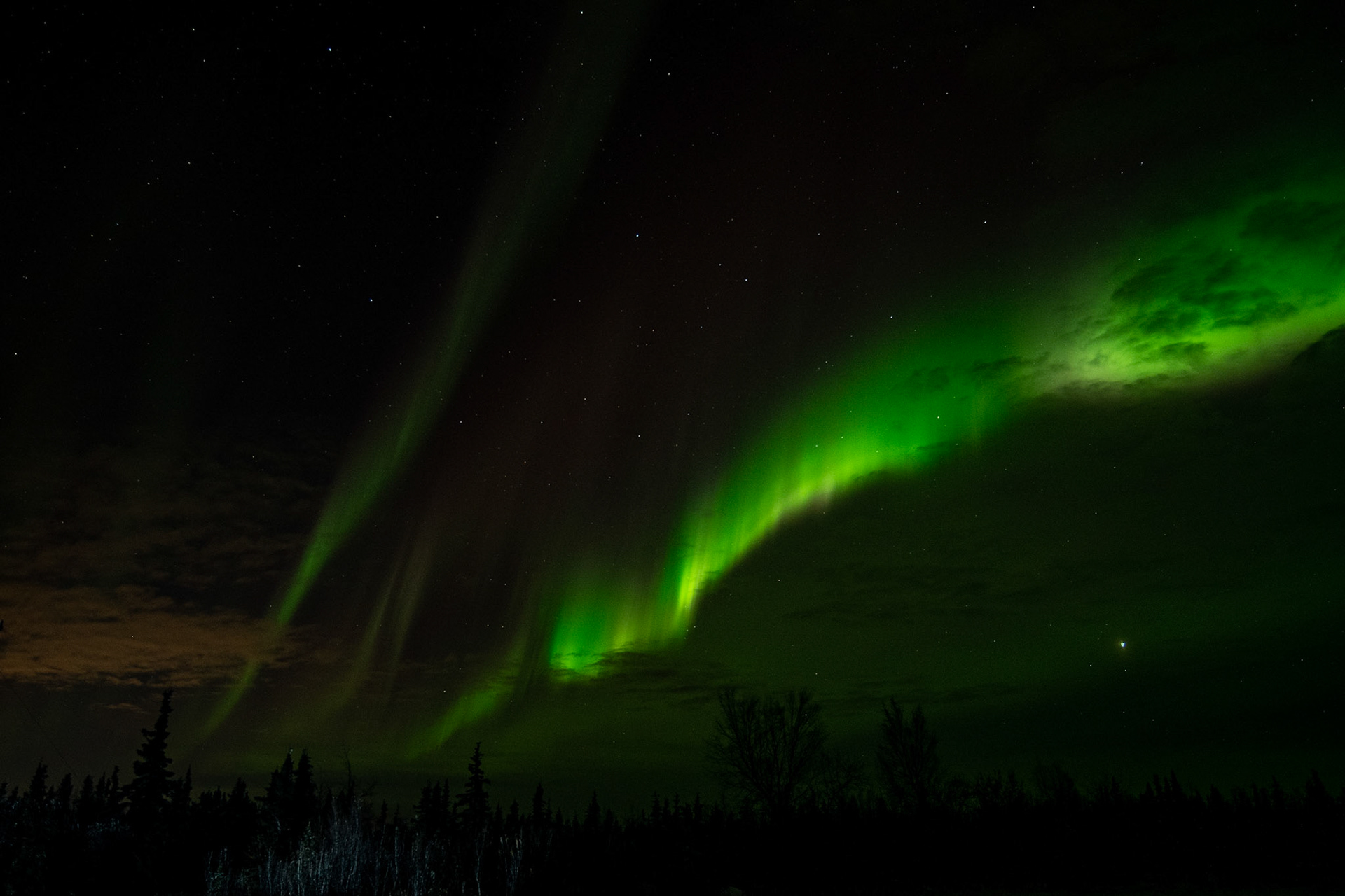 Aurora borealis at Murphy dome
