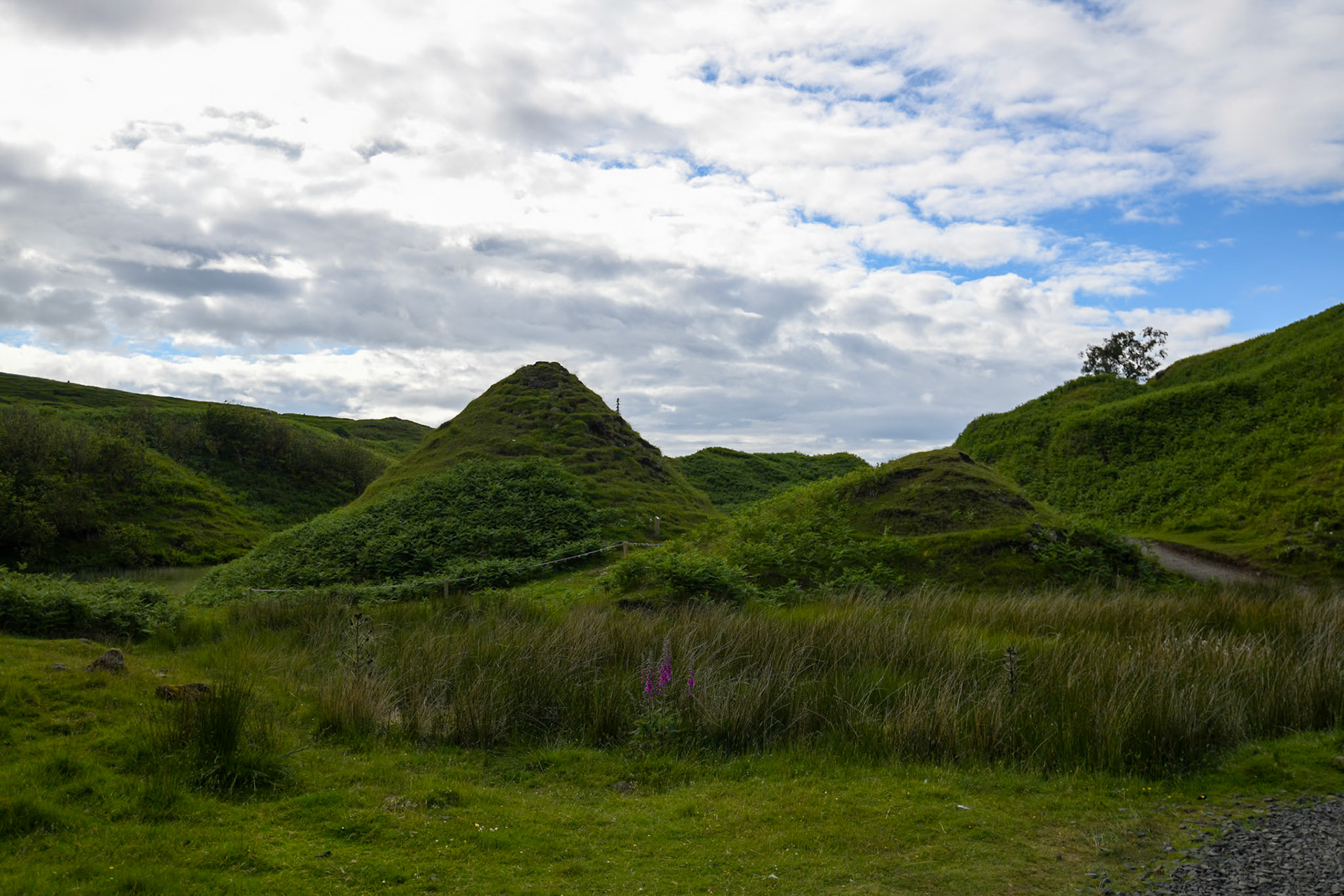 The Fairly Glen