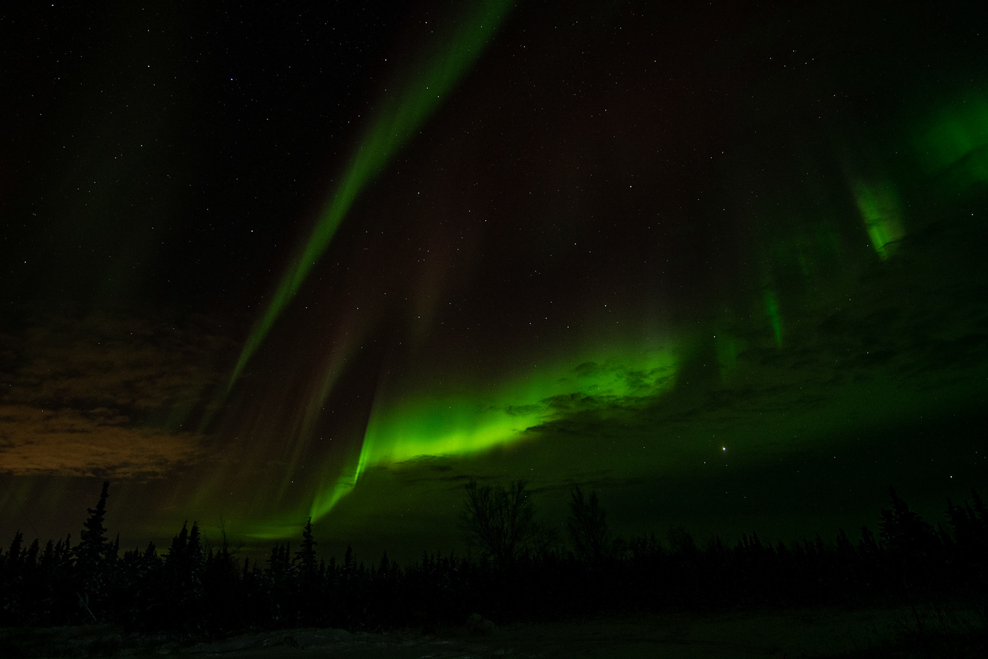Aurora borealis at Murphy dome