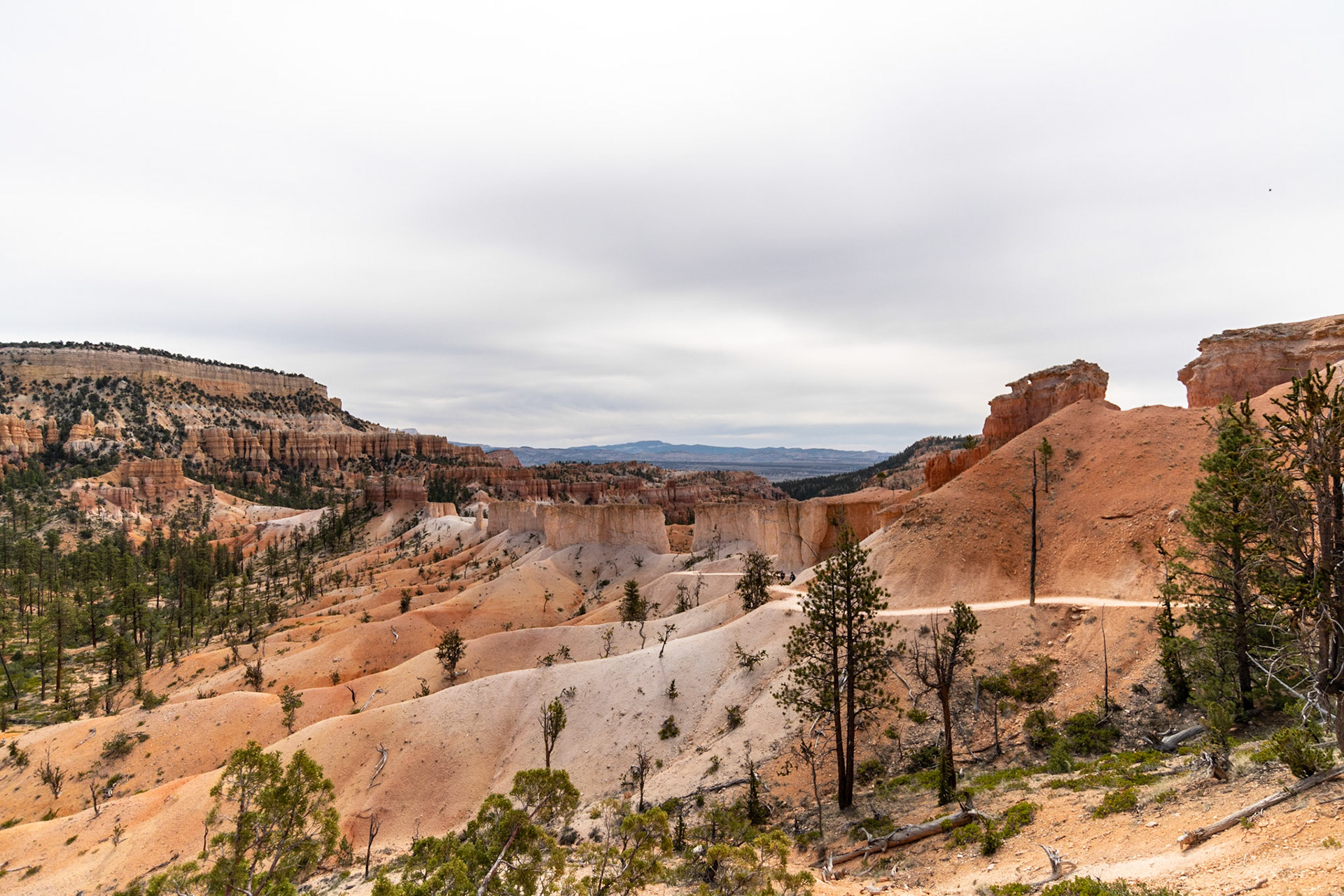 Fairyland loop trail