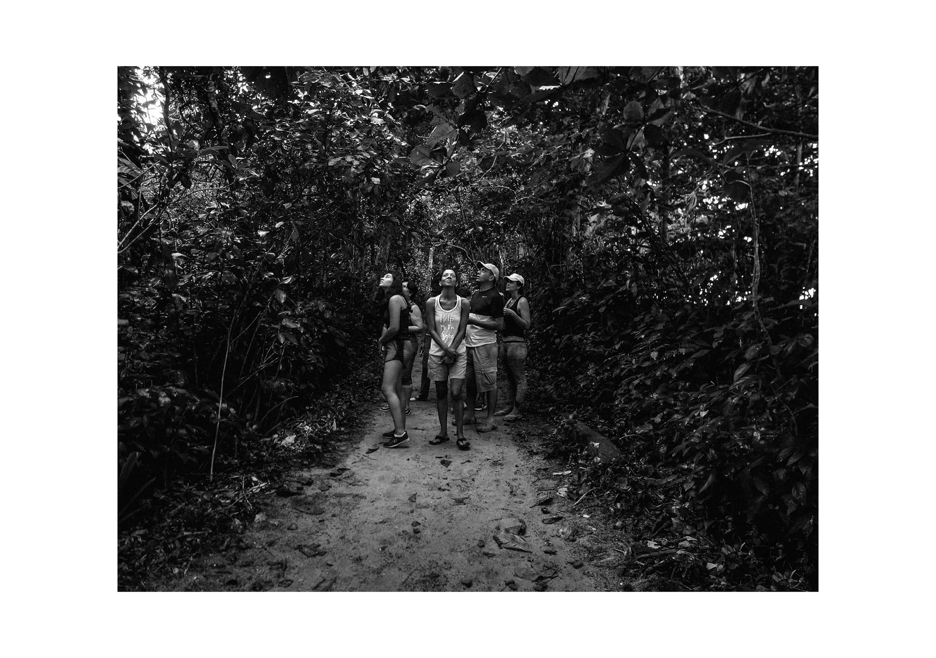 “A lo alto”_2017_42.3333cm x 31.75cm