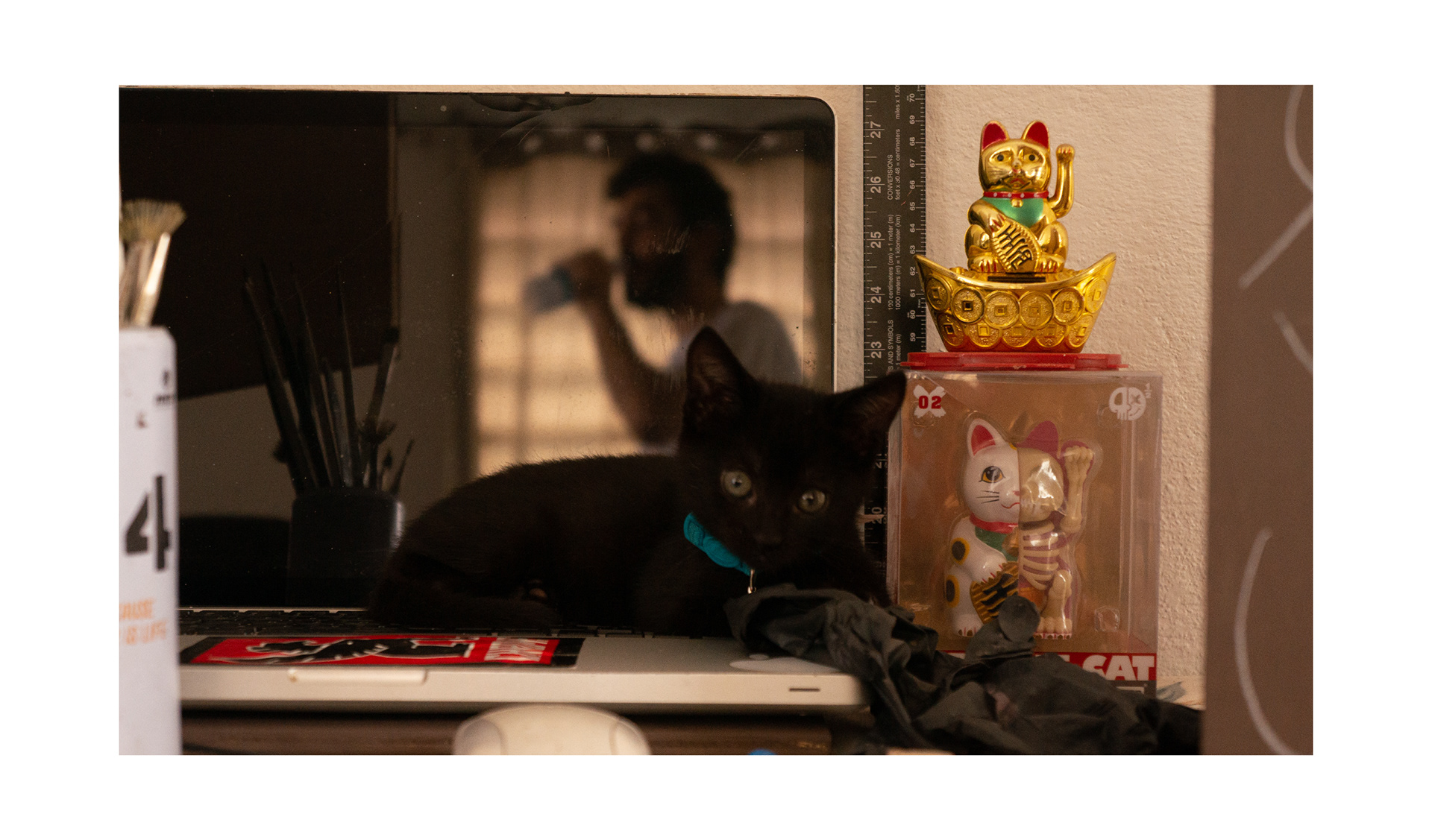 “4 gatos”_2021_51.9853 cm x 29.21 cm