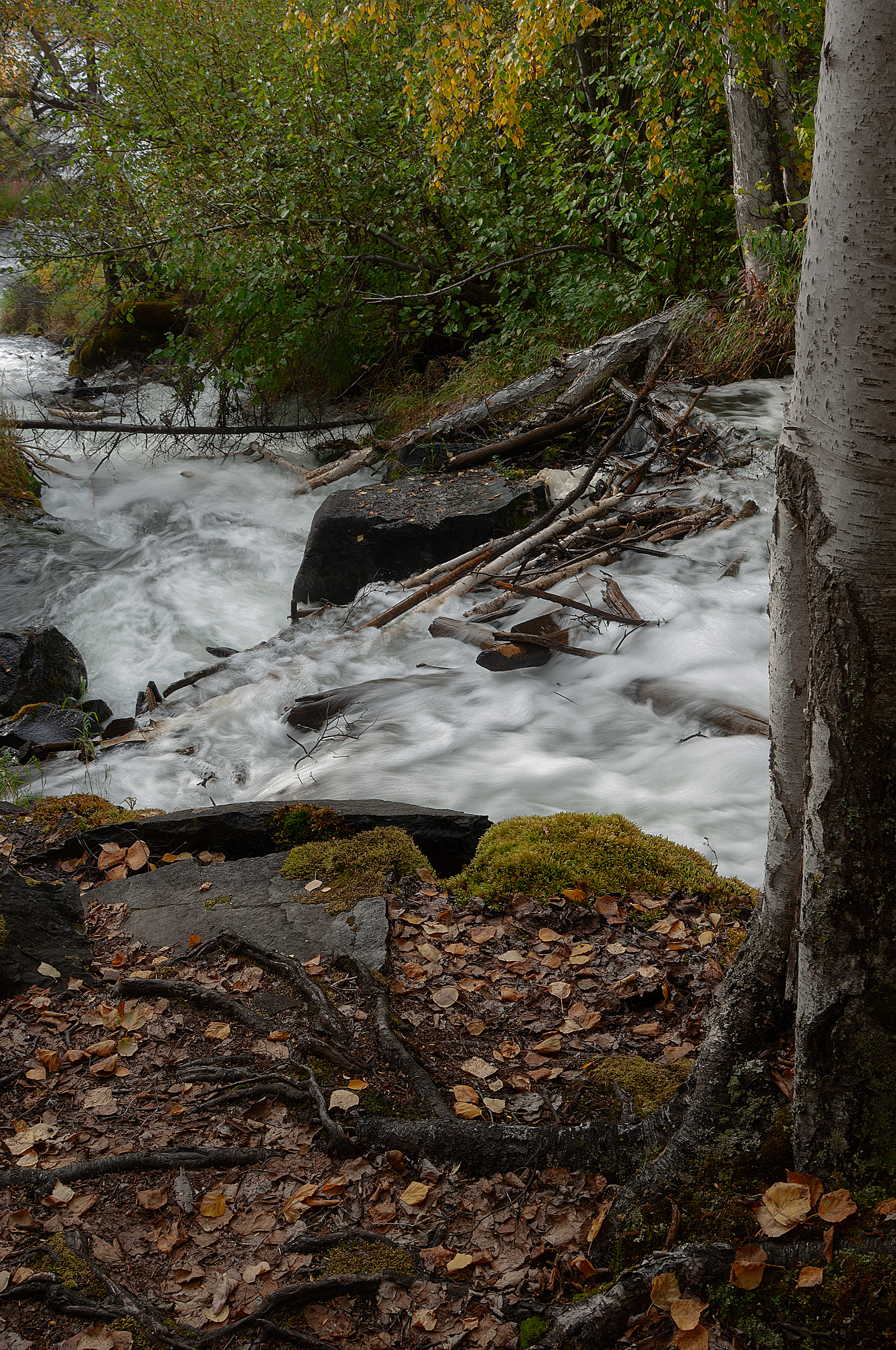 Cameron Falls