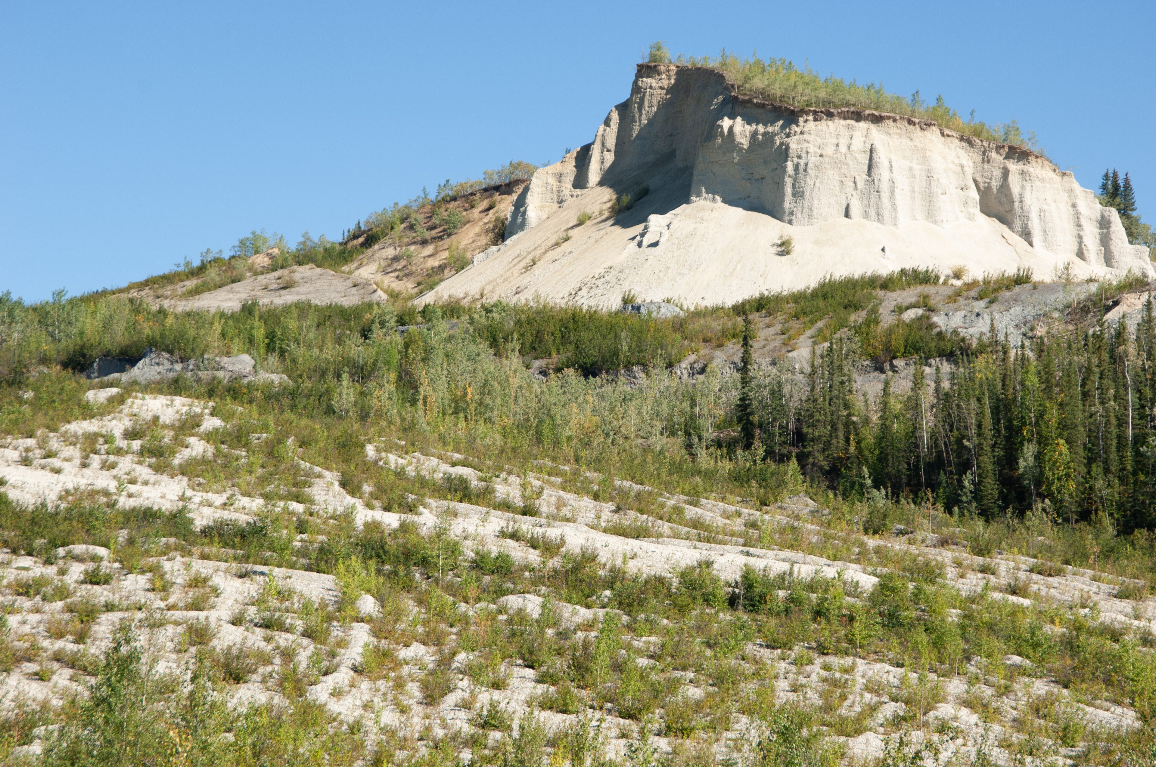 Gold rush placer mining