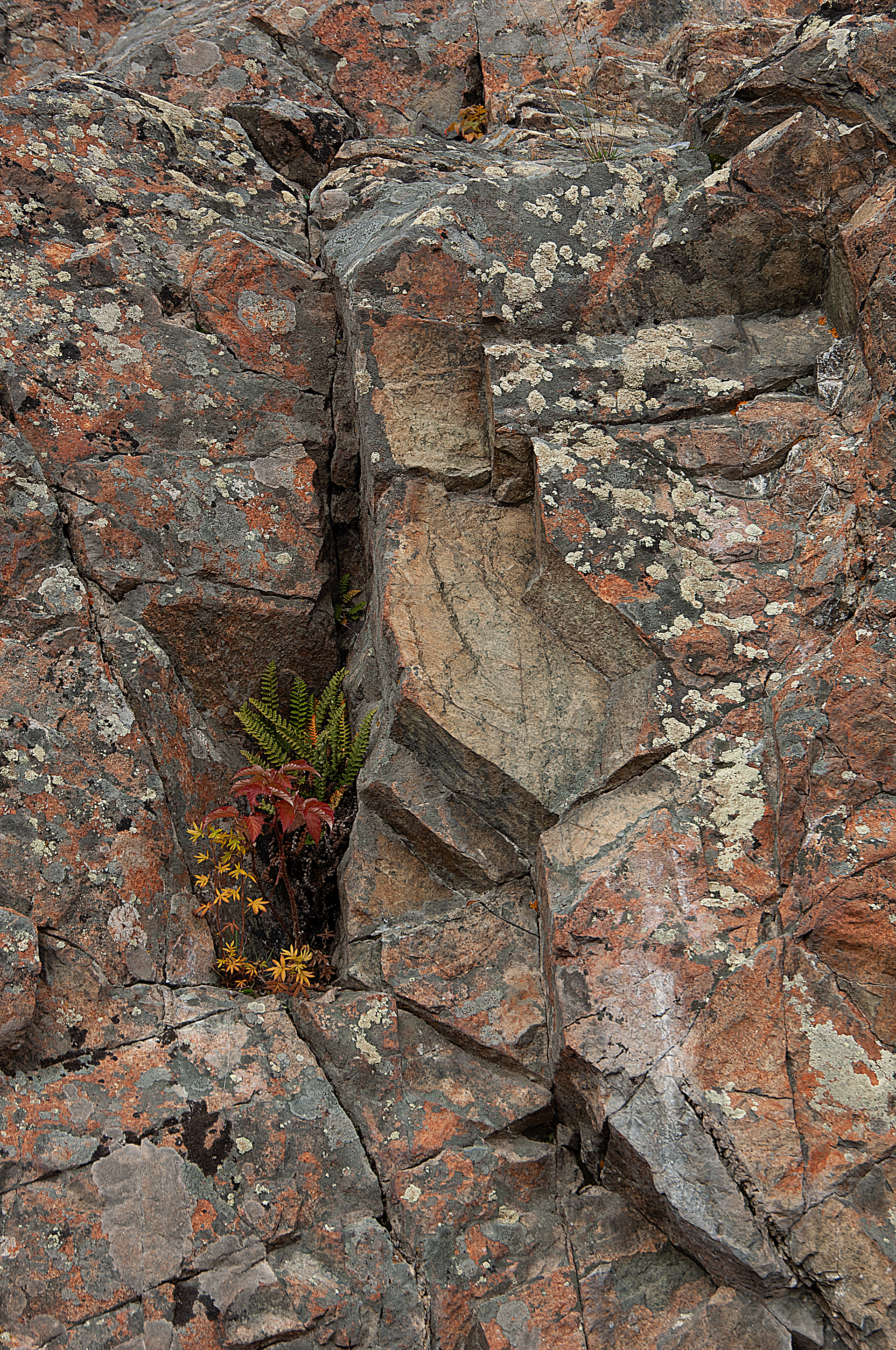 Canadian shield