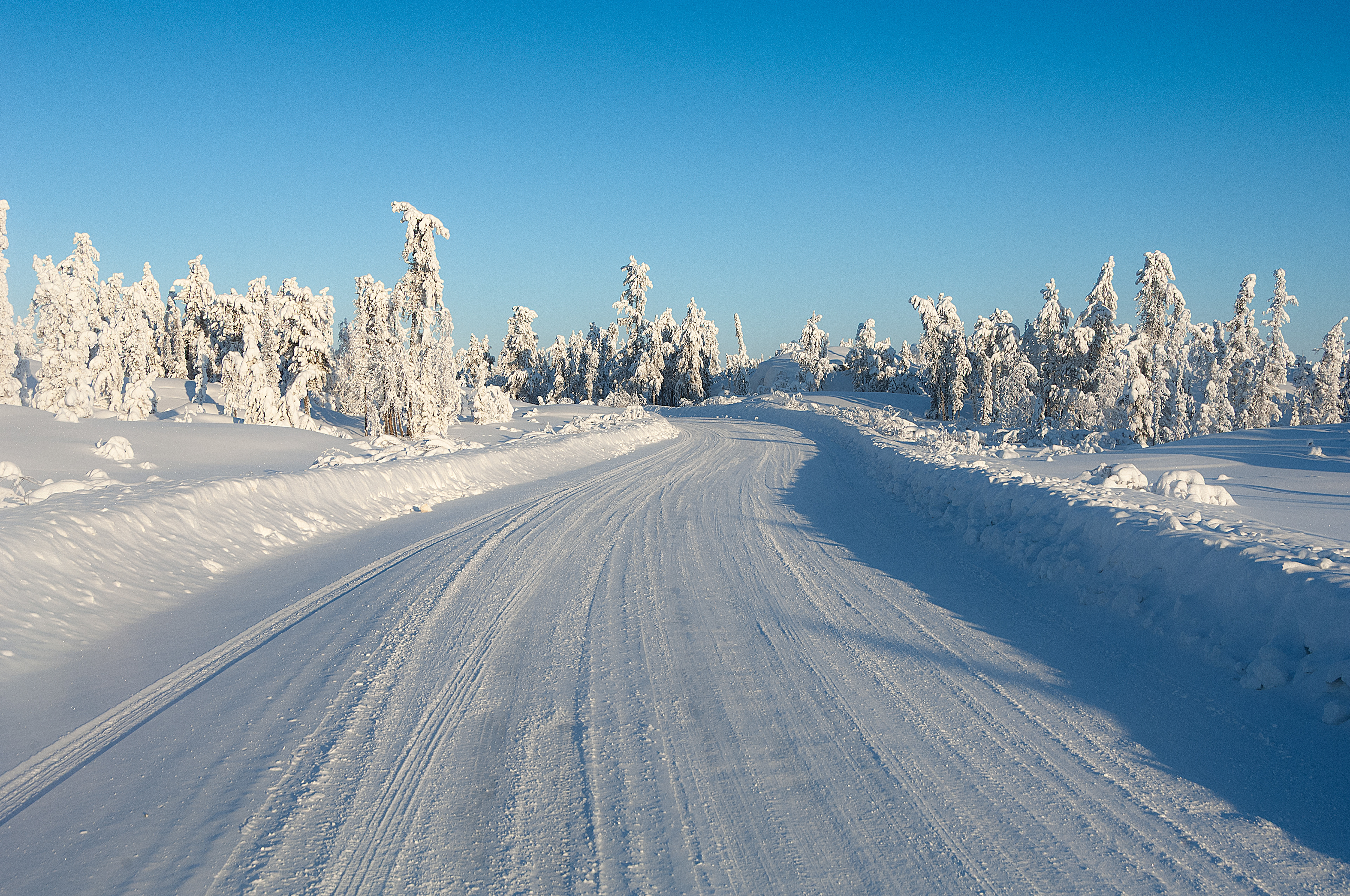Ingraham Trail