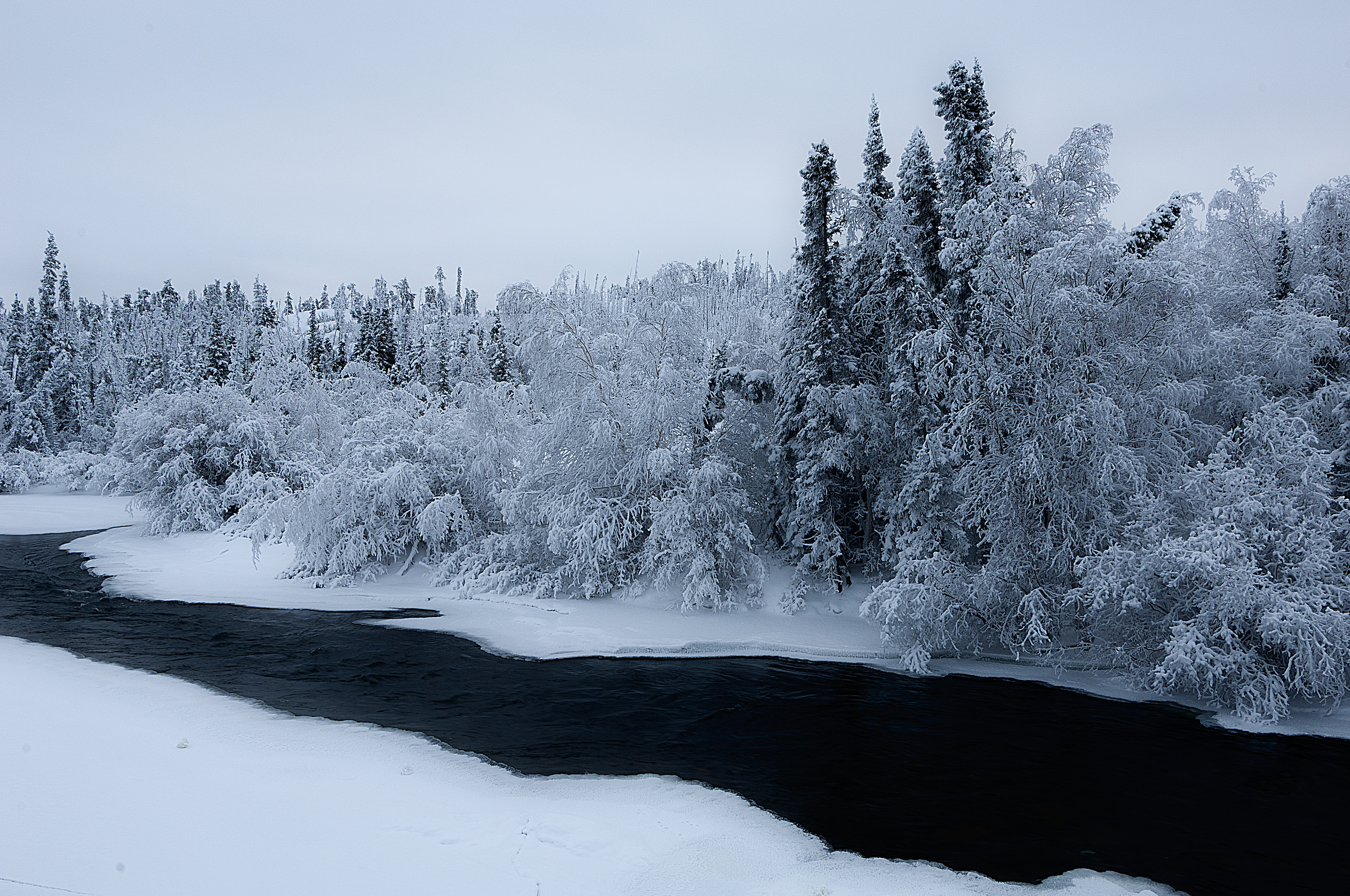 Winter frost