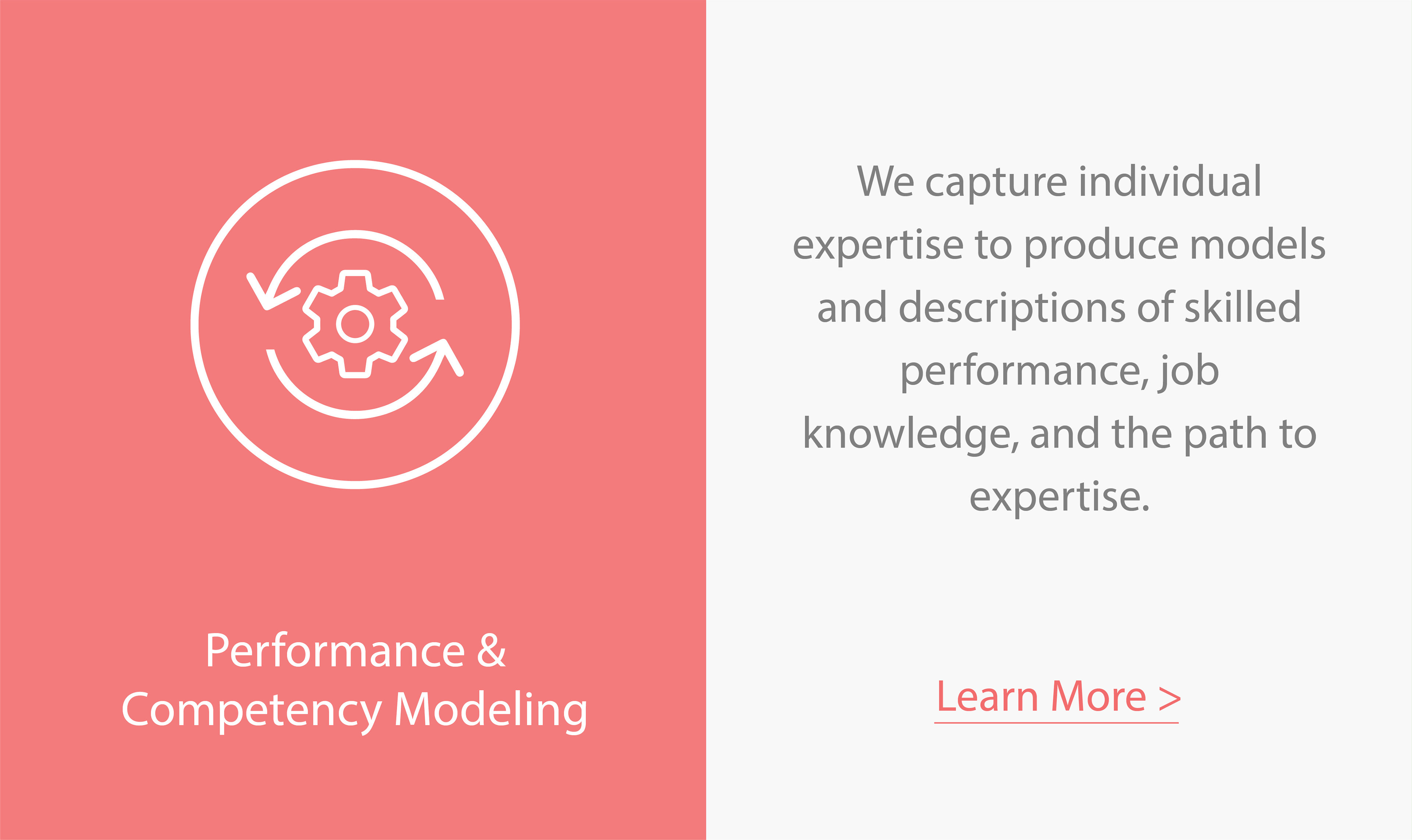 Performance and Competency Modeling