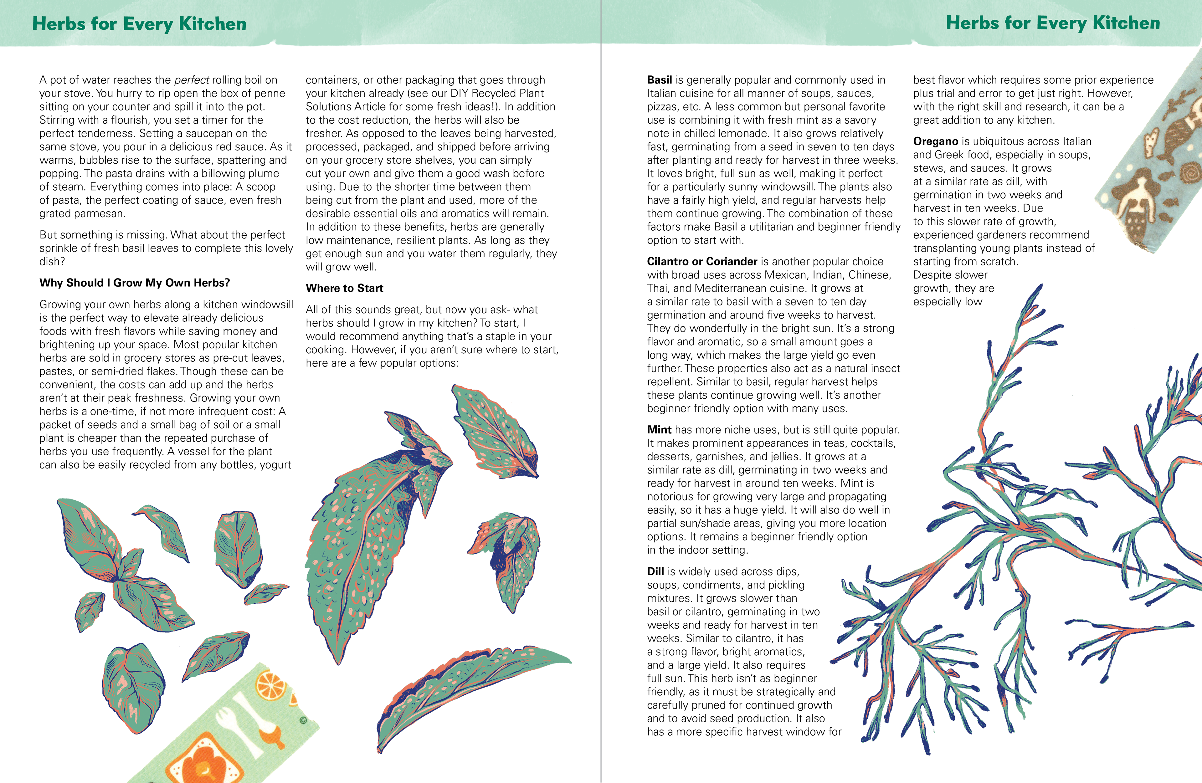 "Herbs for Every Kitchen Illustrated Content Spread," Digital (Illustration done in Procreate, Layout done in Indesign)