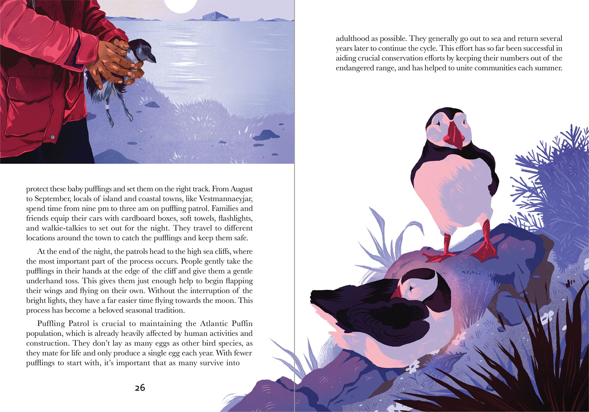 Puffling Season, Spread 2