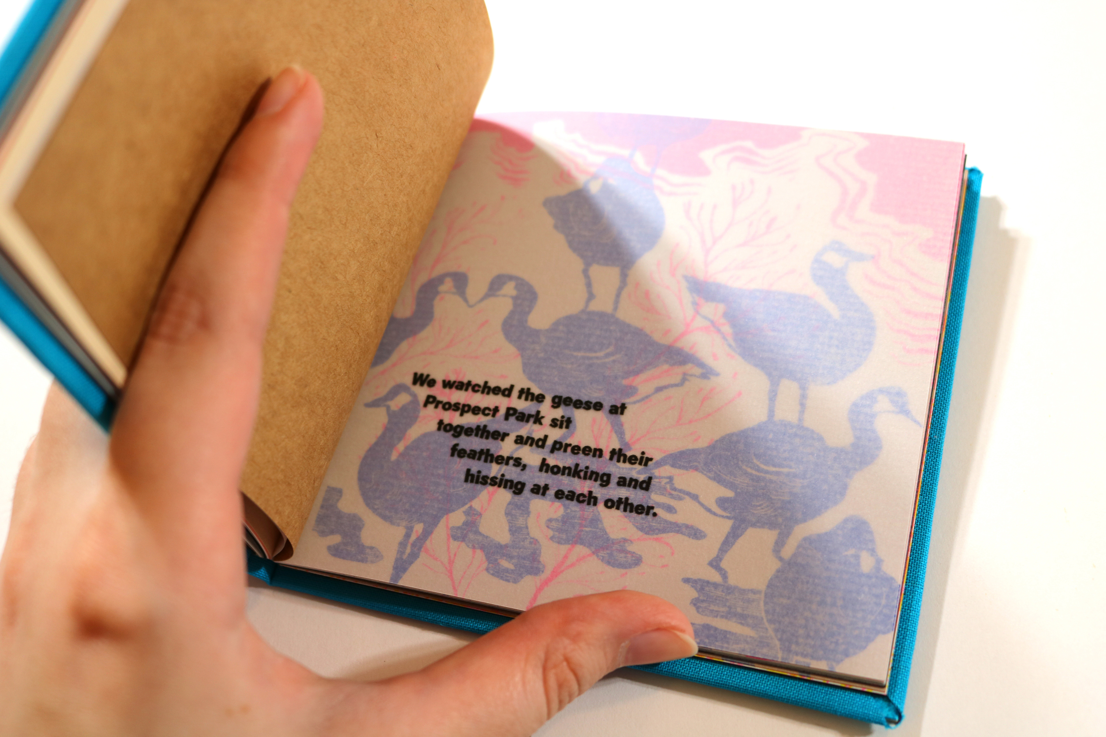 "Creature Collectanea" Geese Page with Vellum
