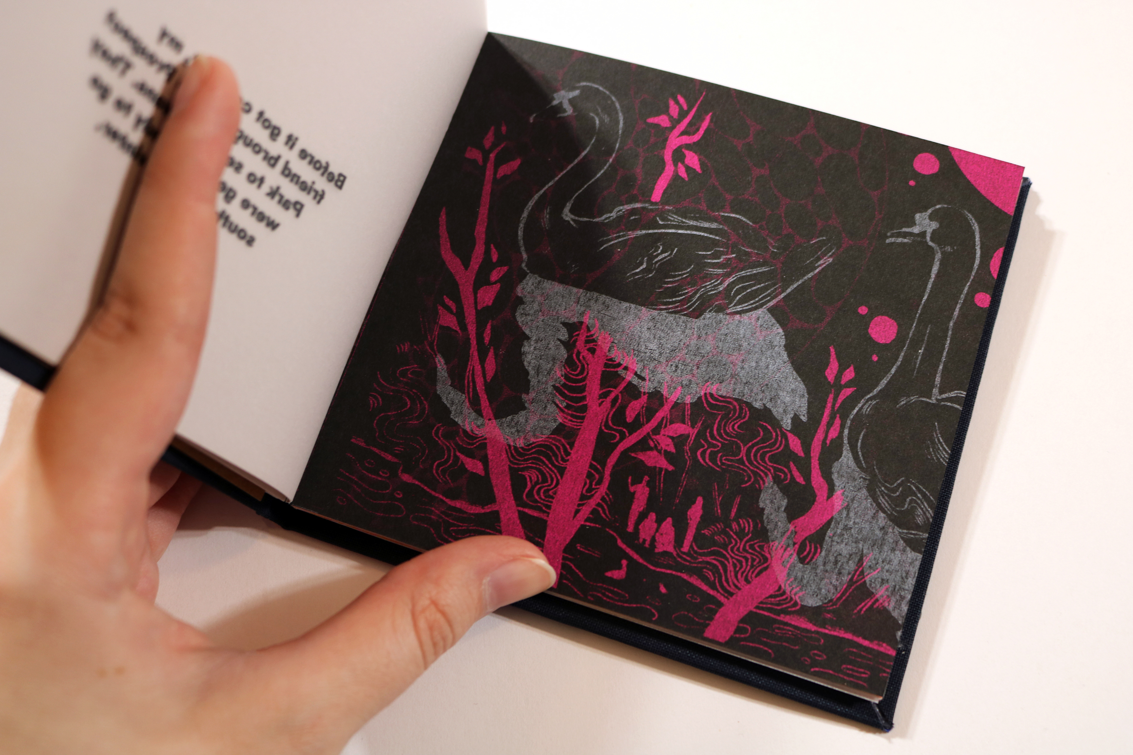 "Creature Collectanea" Swan Page without Vellum