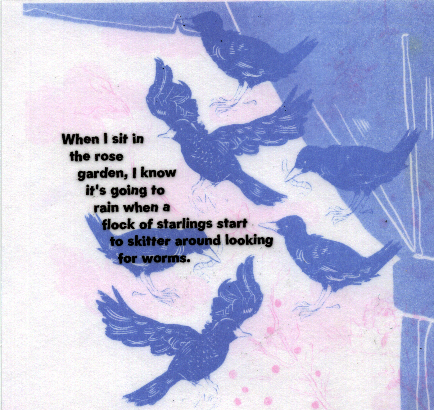 Starling Page with Vellum