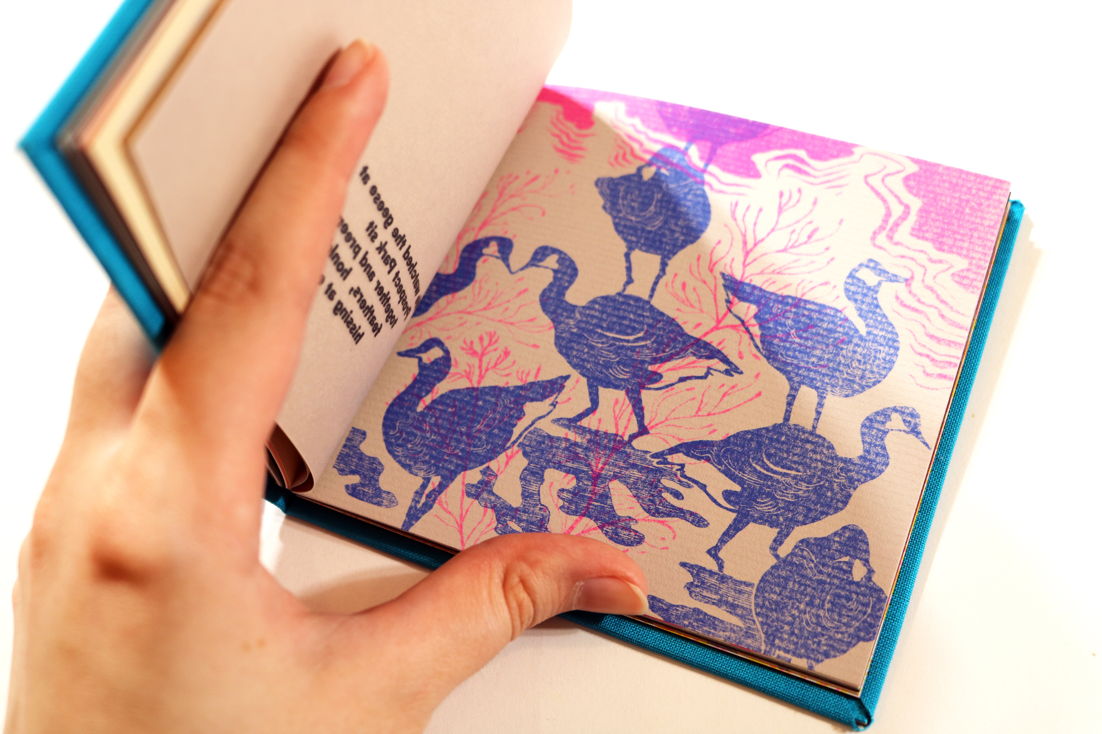"Creature Collectanea" Geese Page without Vellum