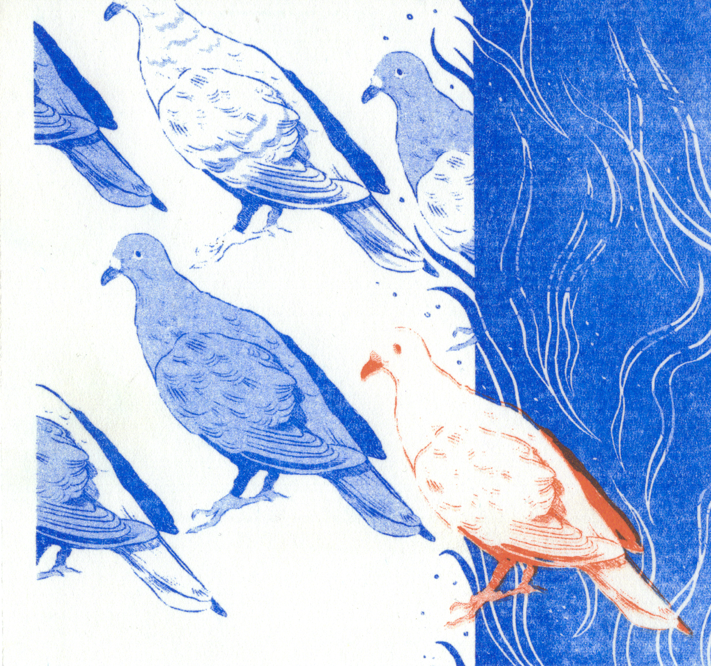 Pigeon Page without Vellum