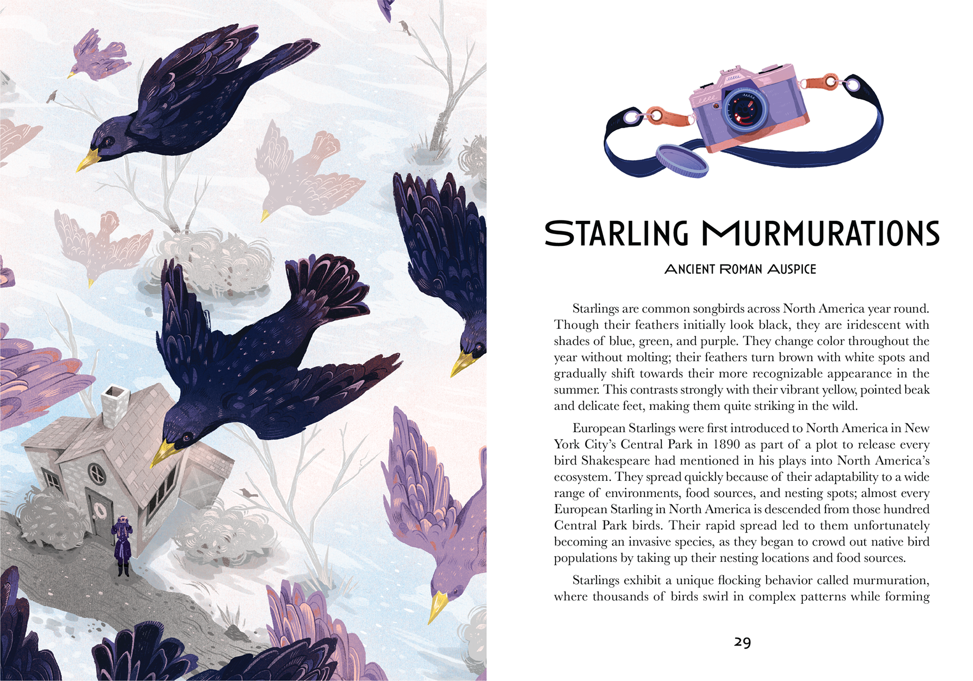 Starling Murmurations, Spread 1