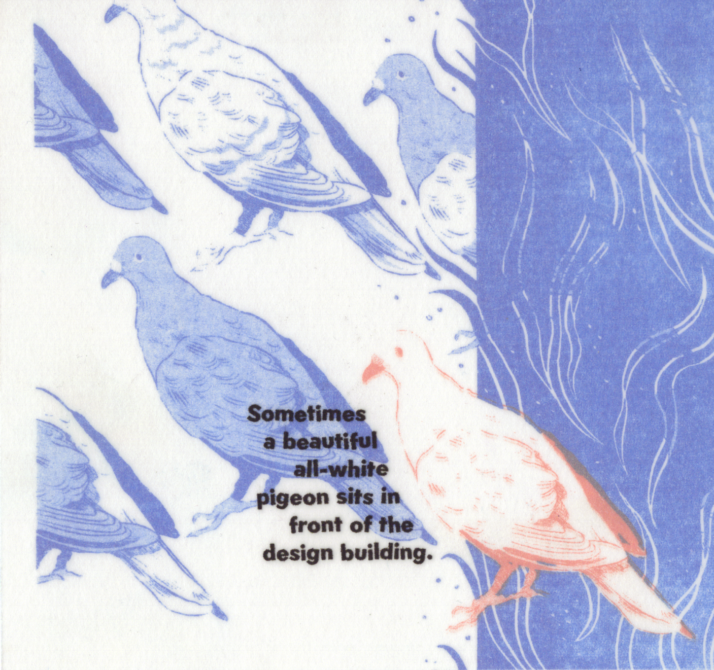 Pigeon Page with Vellum
