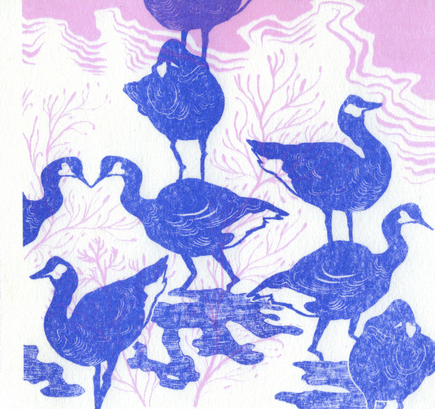 Geese Page without Vellum