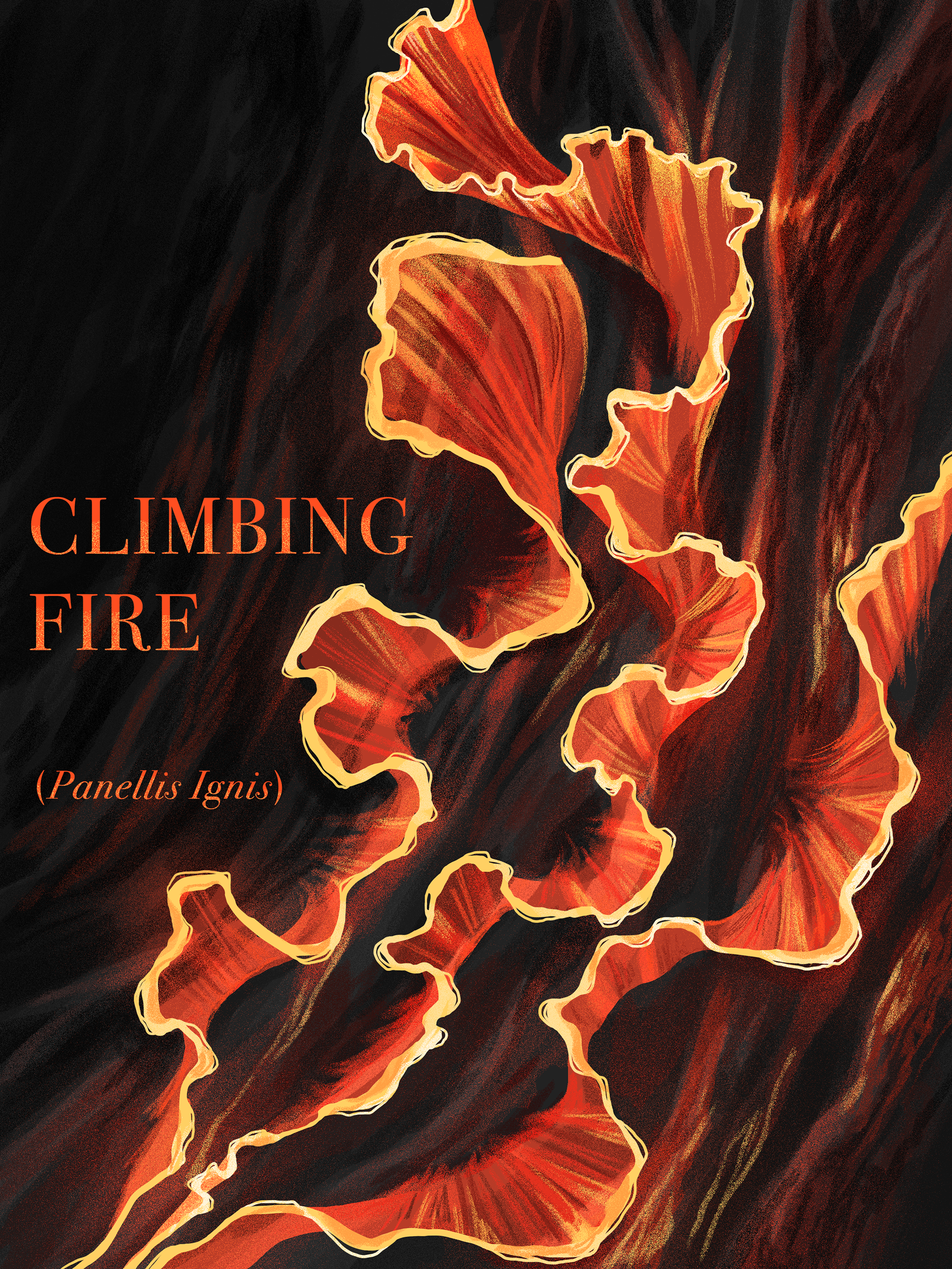 Fictional Plant Design, Photoshop