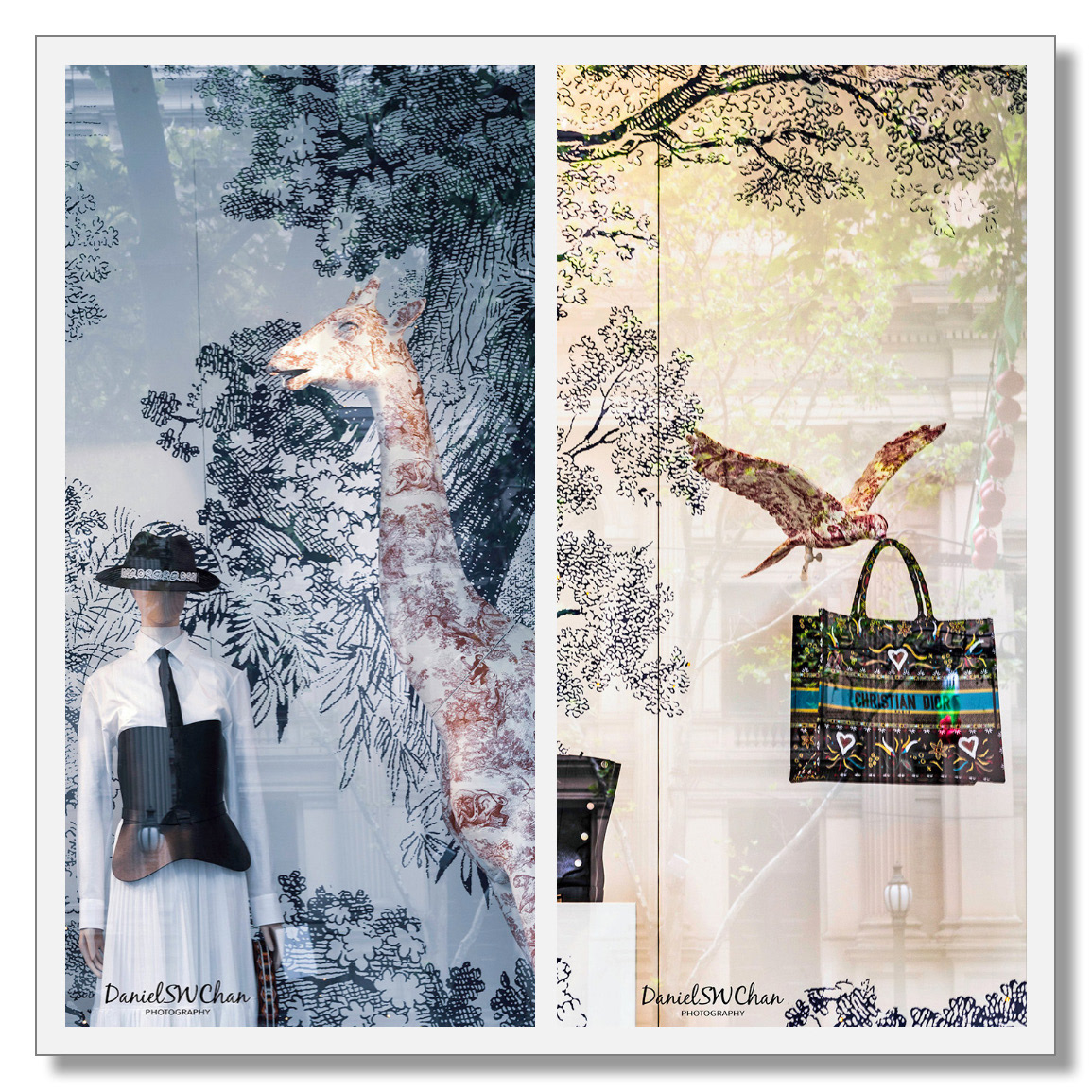 The animals & Dior's products in display windows