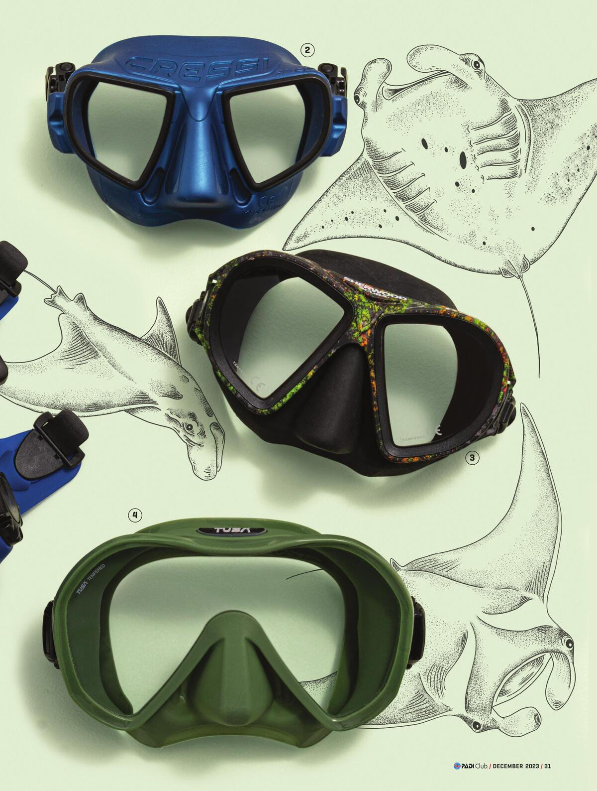 Conception, photography, styling, and page design all created by me. Illustrations by Rachel Brooks