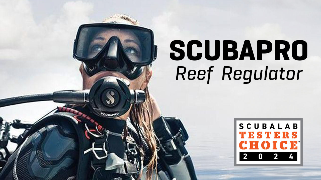 Thumbnail redesign for Scubadiving.com