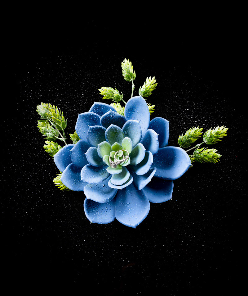 Wedding ring photography project.