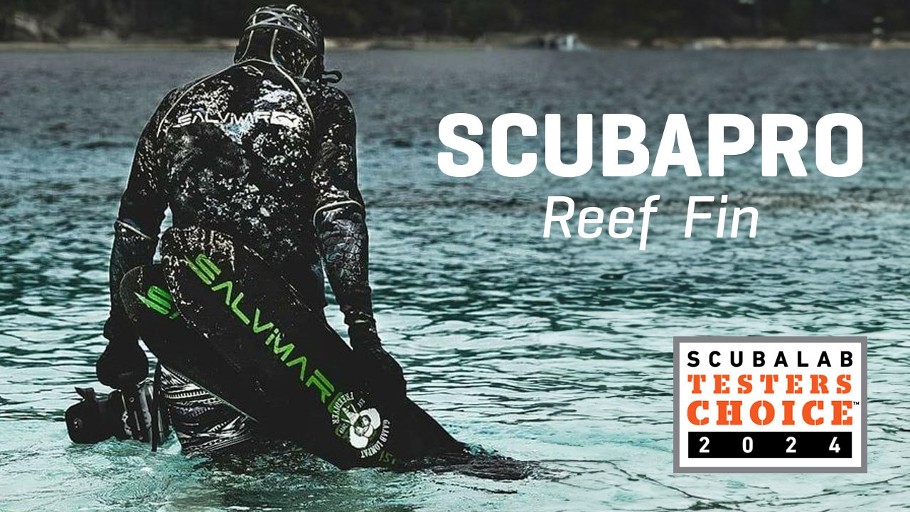 Thumbnail redesign for Scubadiving.com