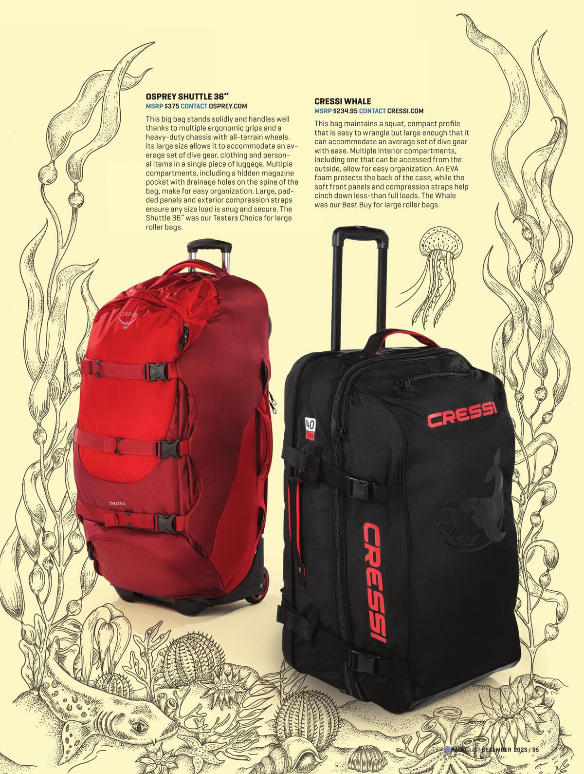 Conception, photography, styling, and page design all created by me. Illustrations by Rachel Brooks
