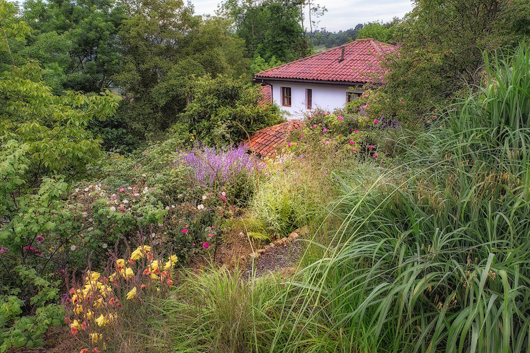 Garden photographed by Alan Lennox
