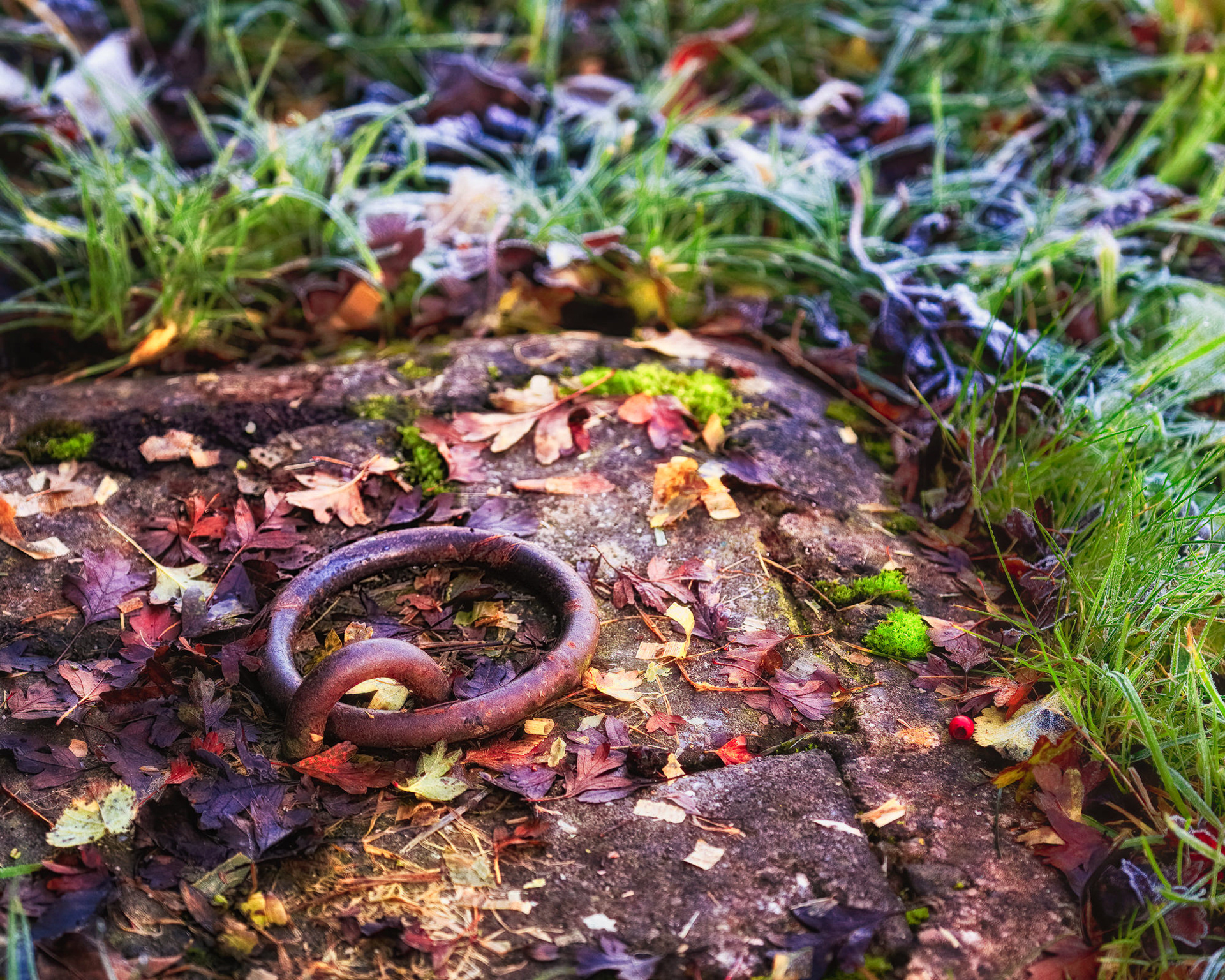 Shropshire Union Canal, UK