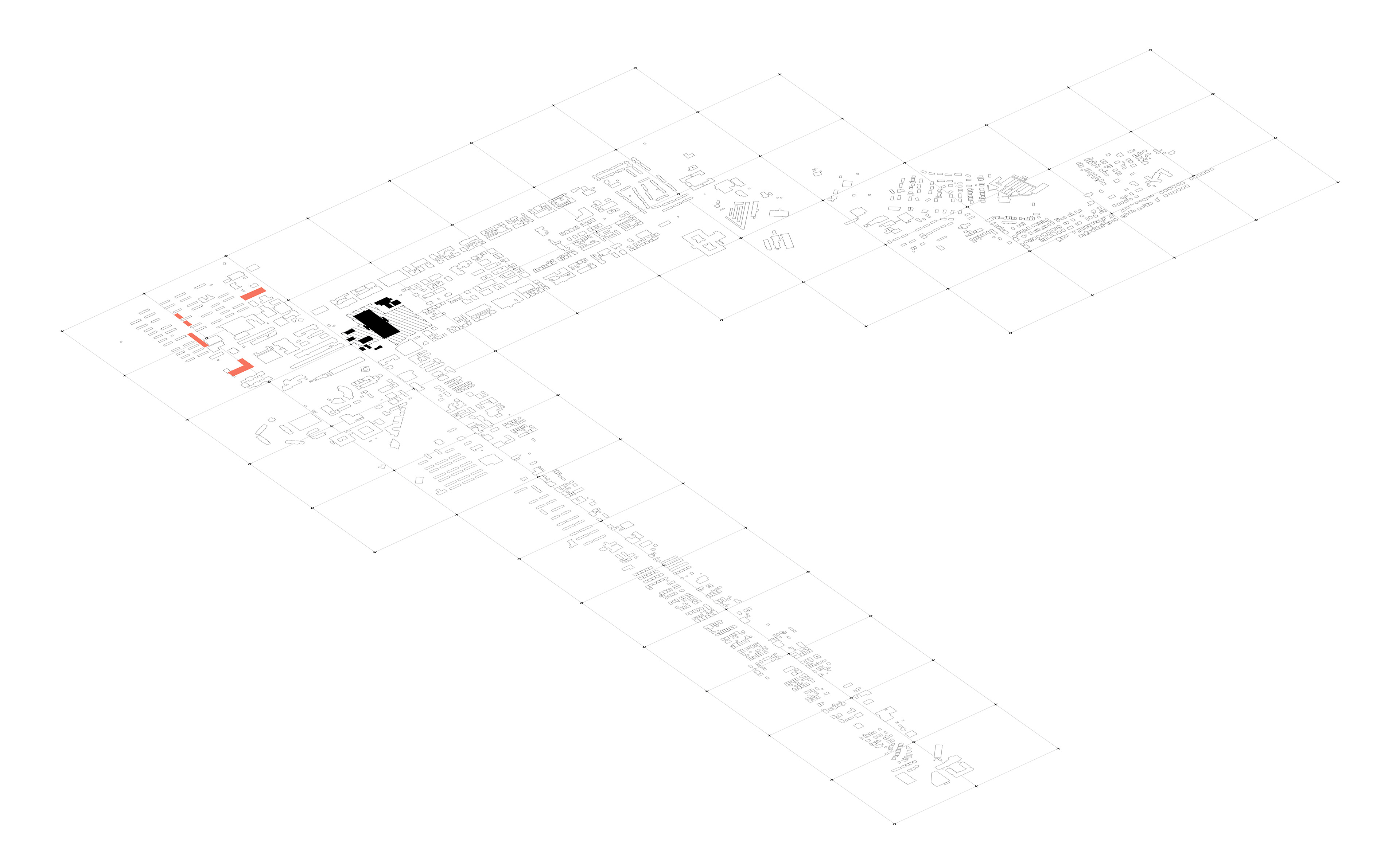 Naturalization of Monocultural Vacant Lots : Phase 3