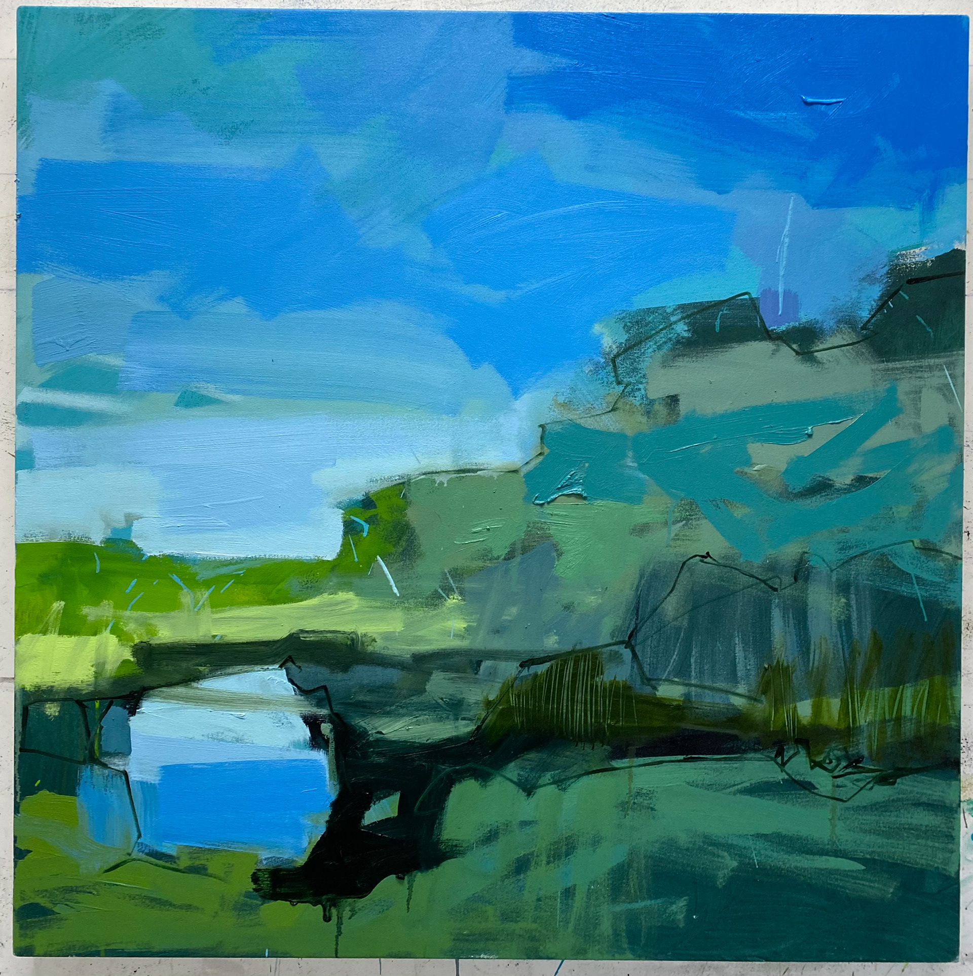 bog, Ontario, 38" x 38"