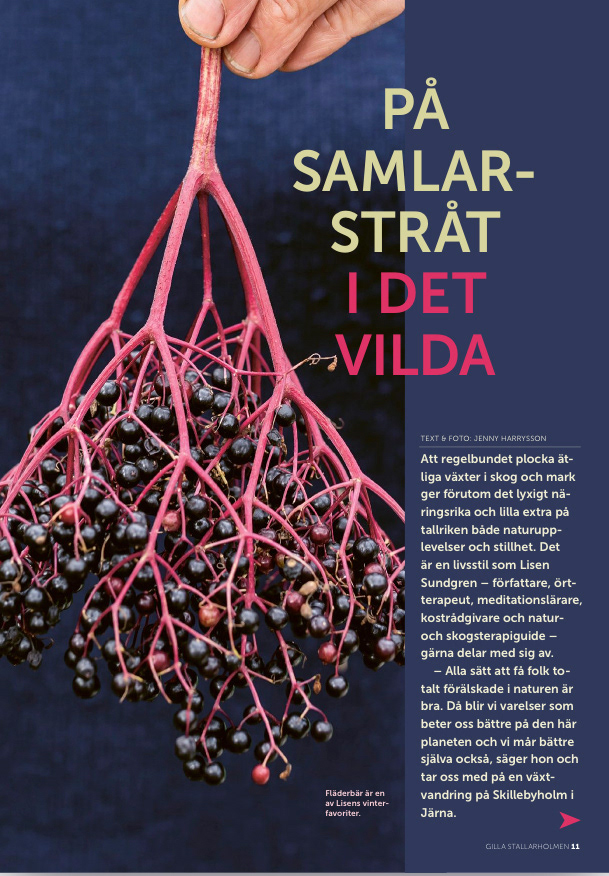 Ur Gilla Stallarholmen