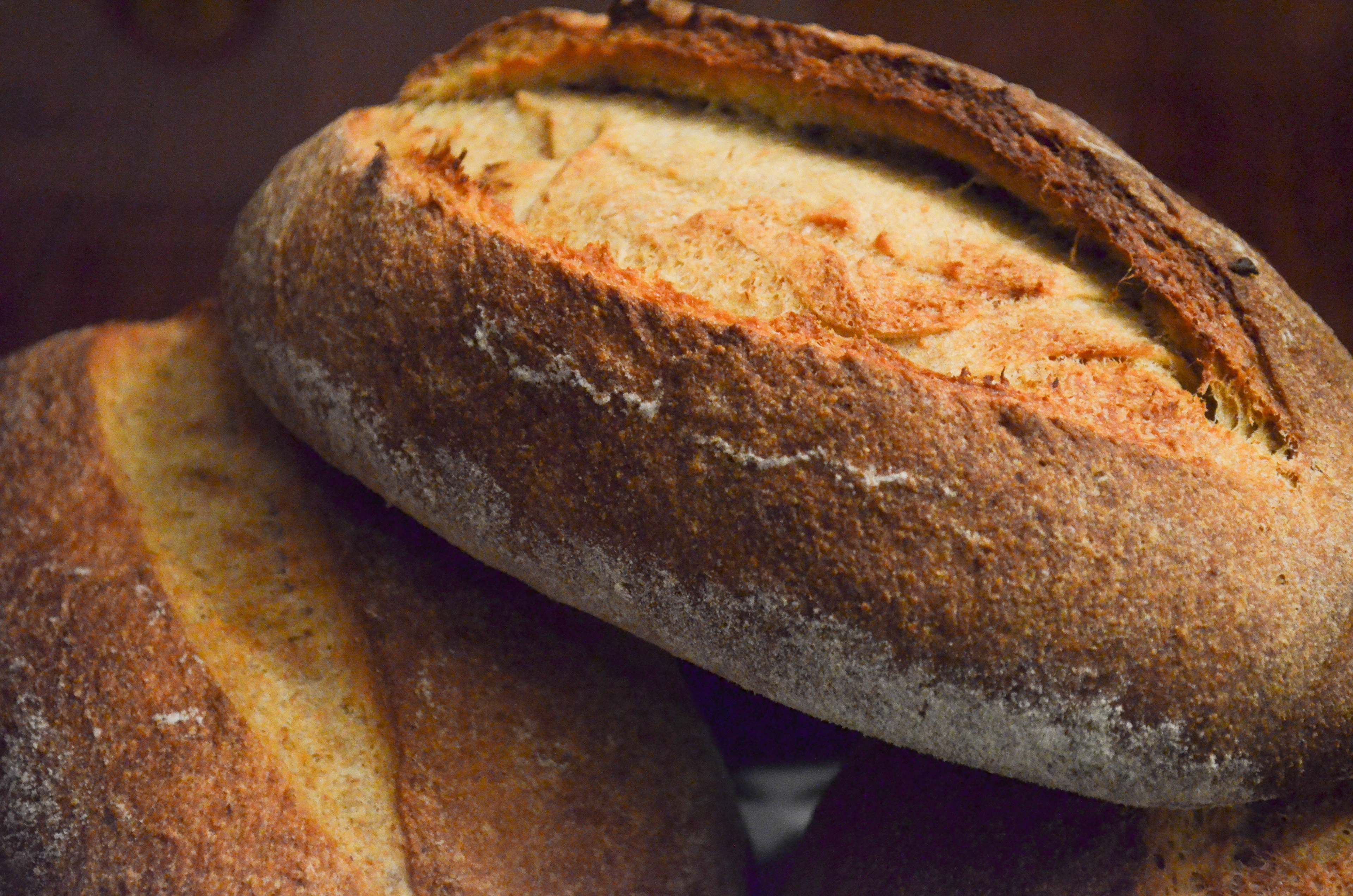 Ancient Grain