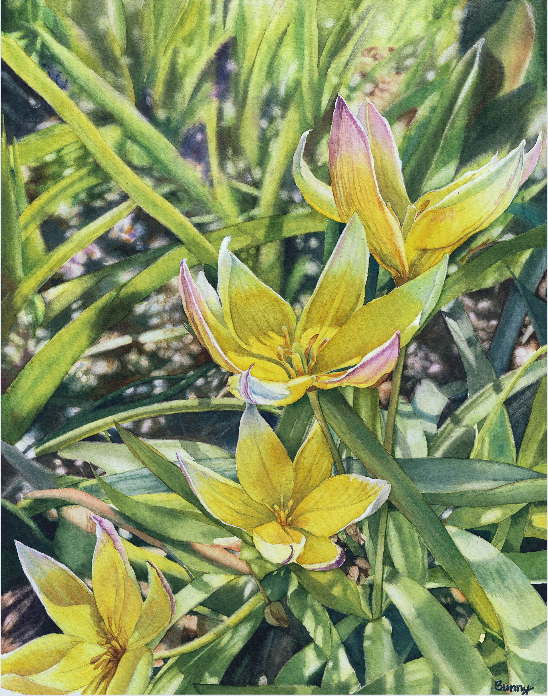 Springtime 9x11.5 18x23 36x46