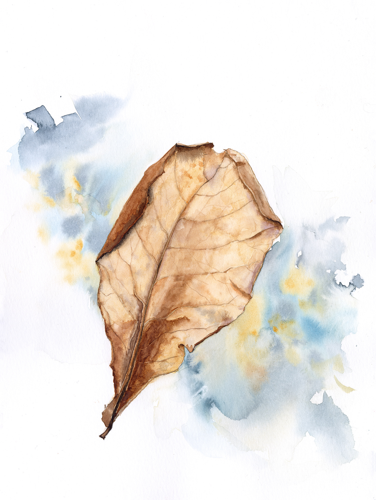 Indian Almond Tree Leaf 9x12 18x24 36x48 Exhibited at the 34th Art in the workplace