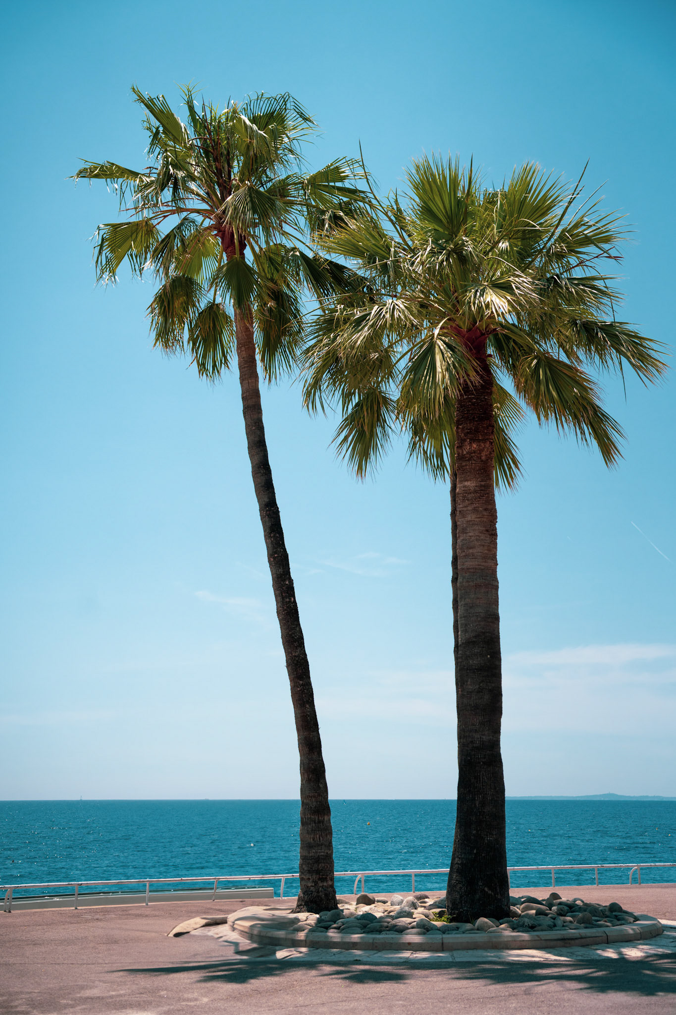 Nice - Promenade des Anglais