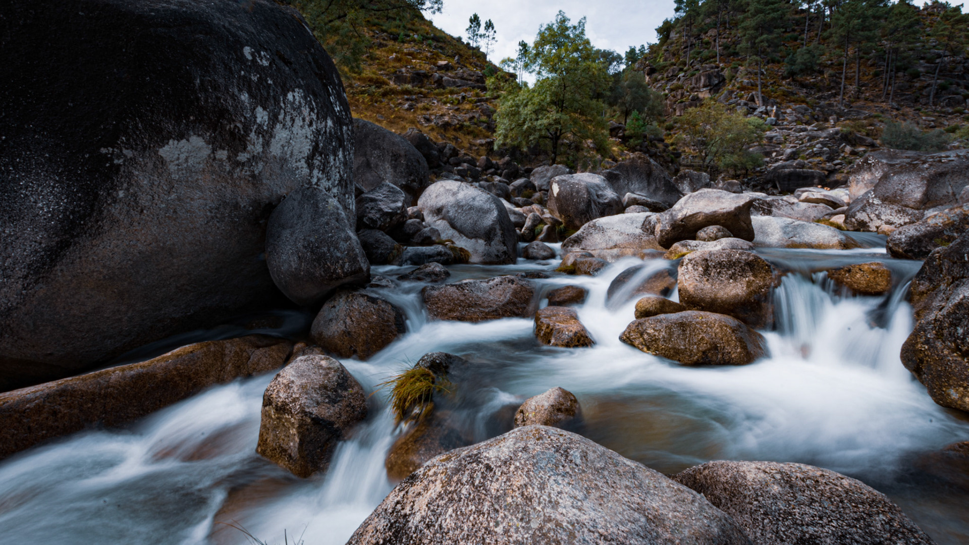 Ponte pedestre da Pigarreira