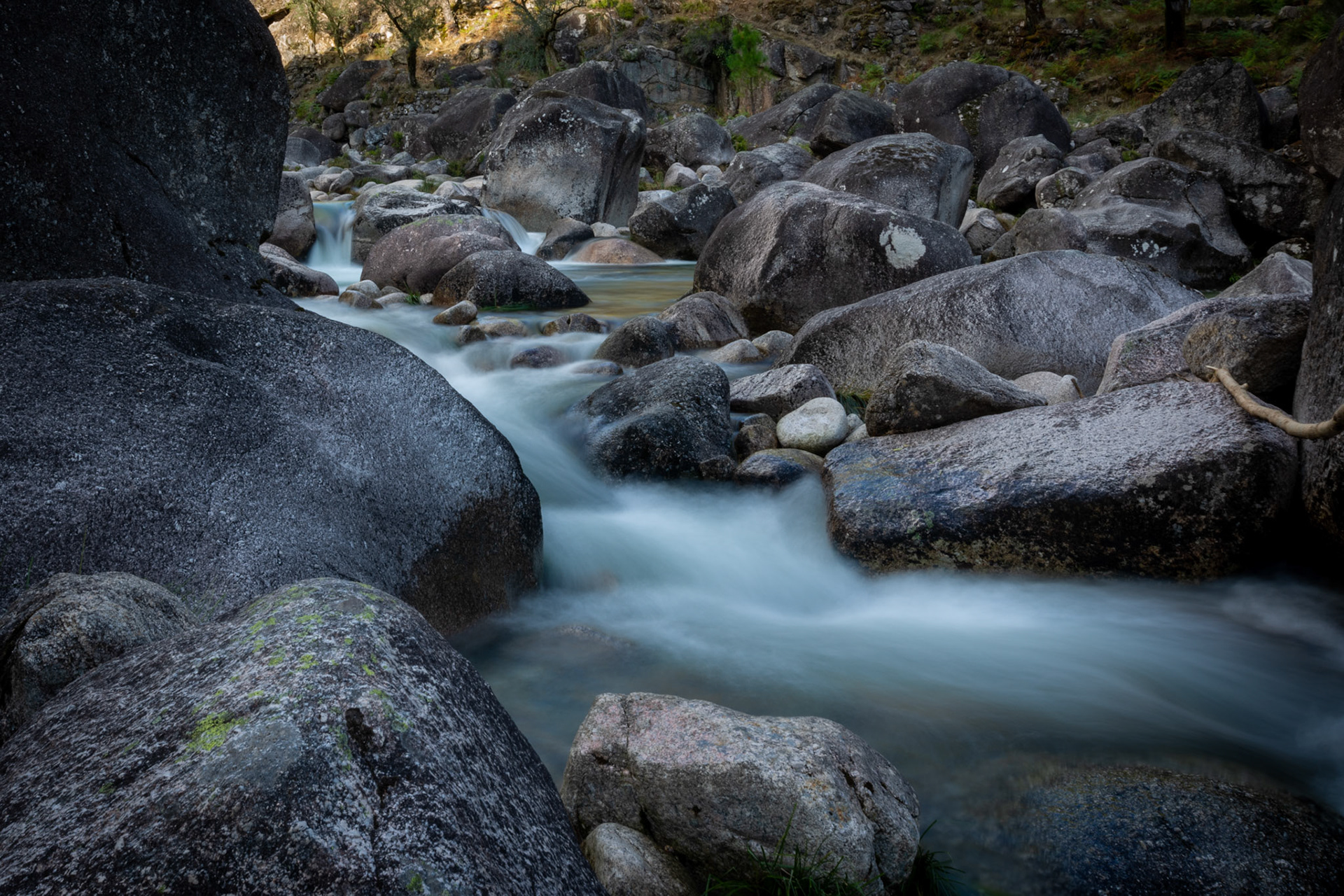 Ponte pedestre da Pigarreira