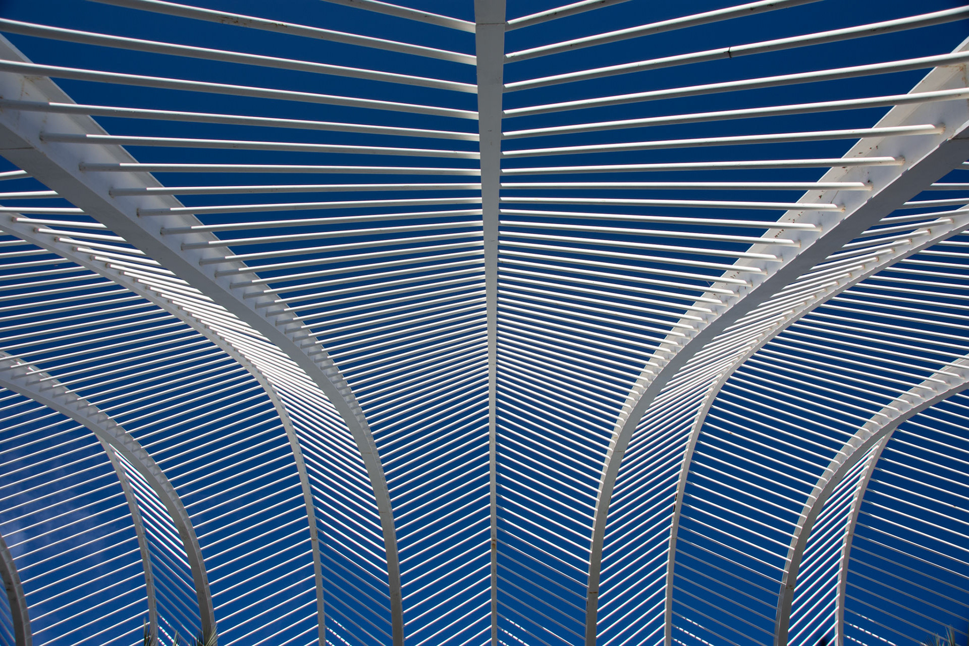 L’Umbracle