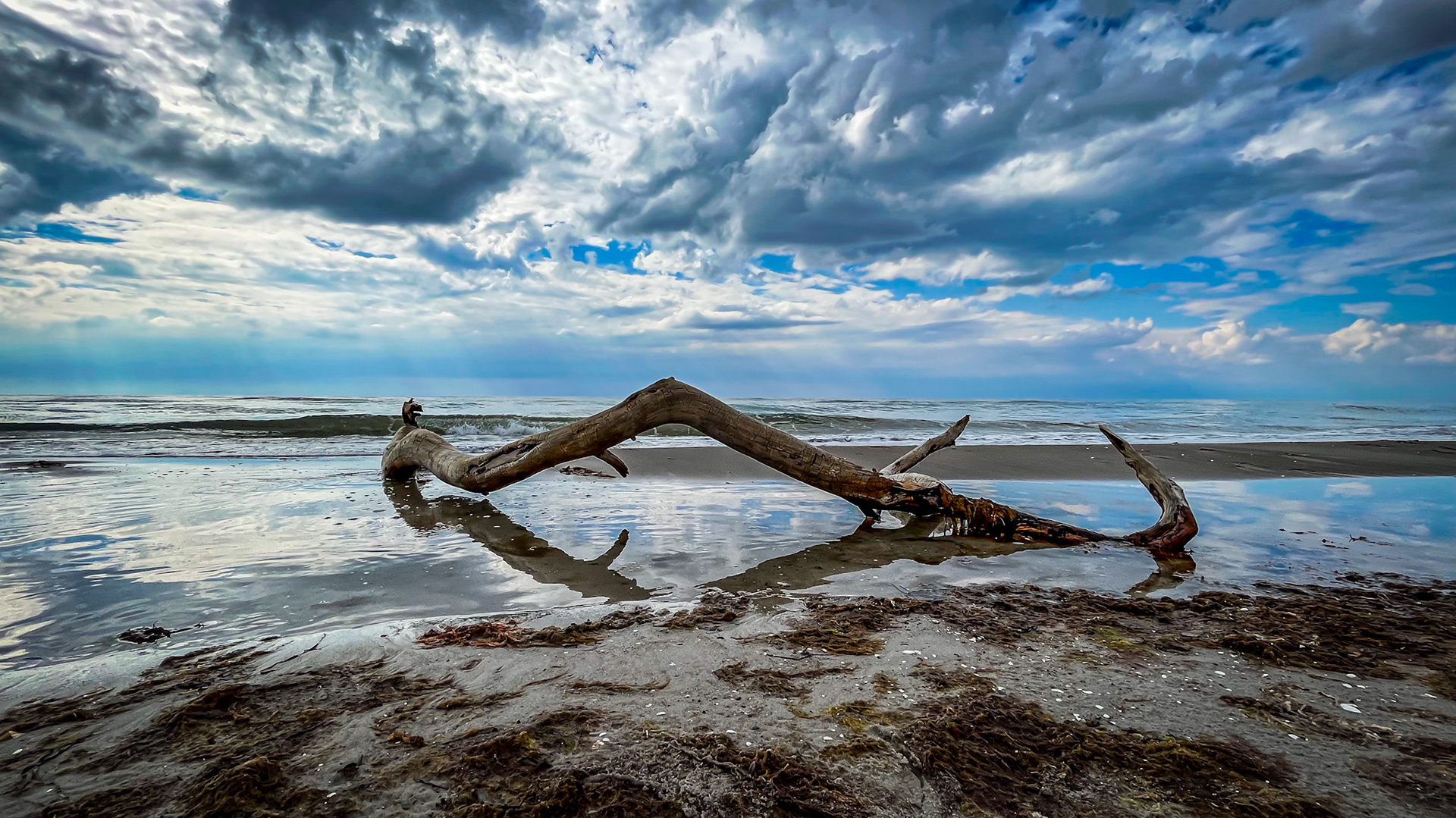 Weststrand Ahrenshoop