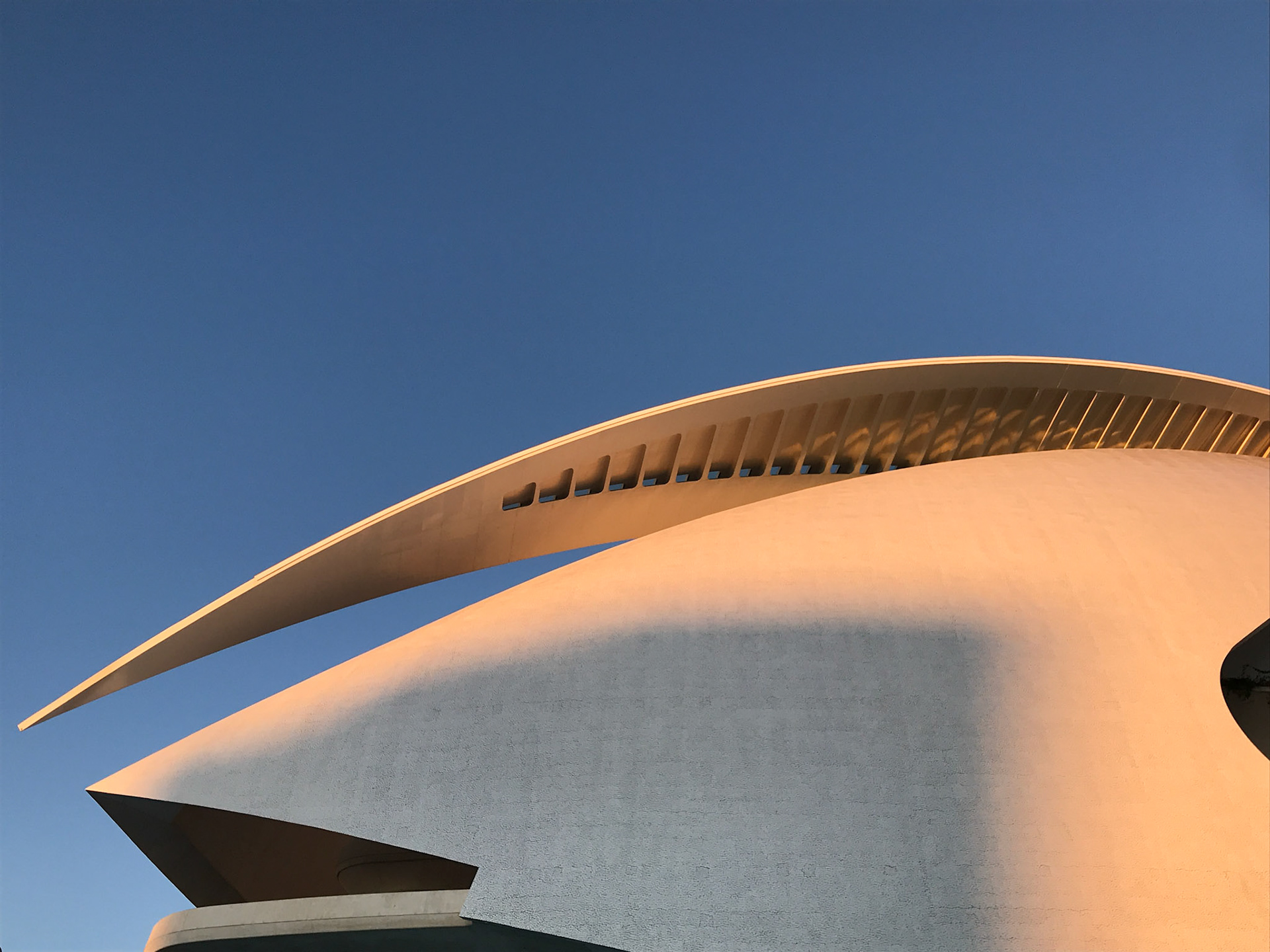 Palau de les Arts - Valencia