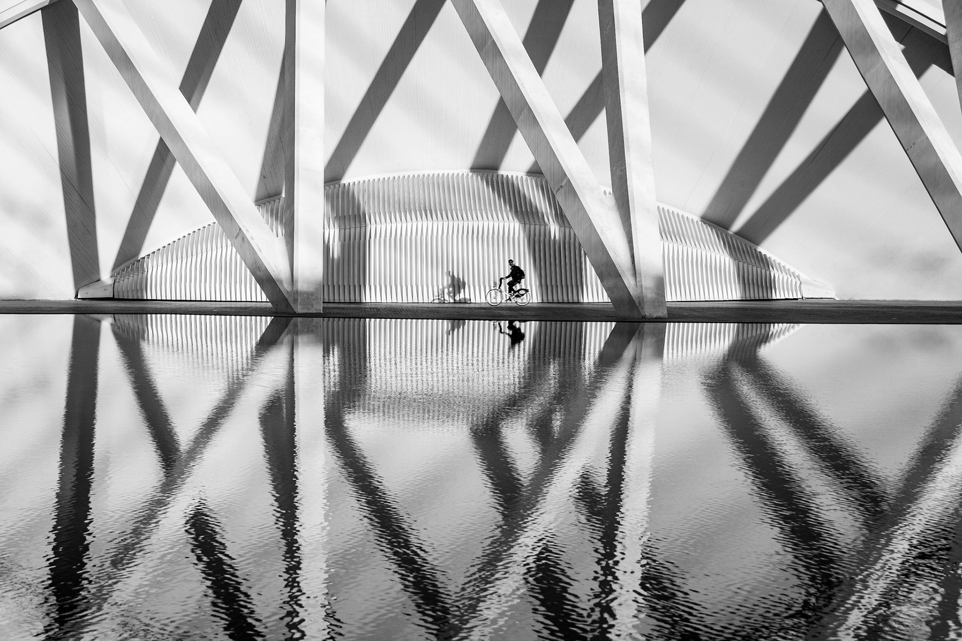 Valencia - Museu de les Ciències Príncipe Felipe