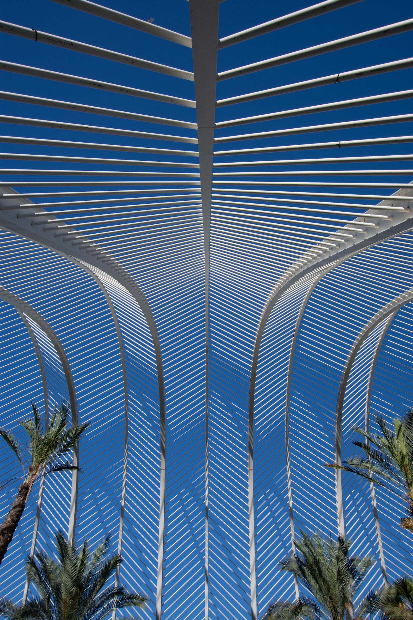 L’Umbracle